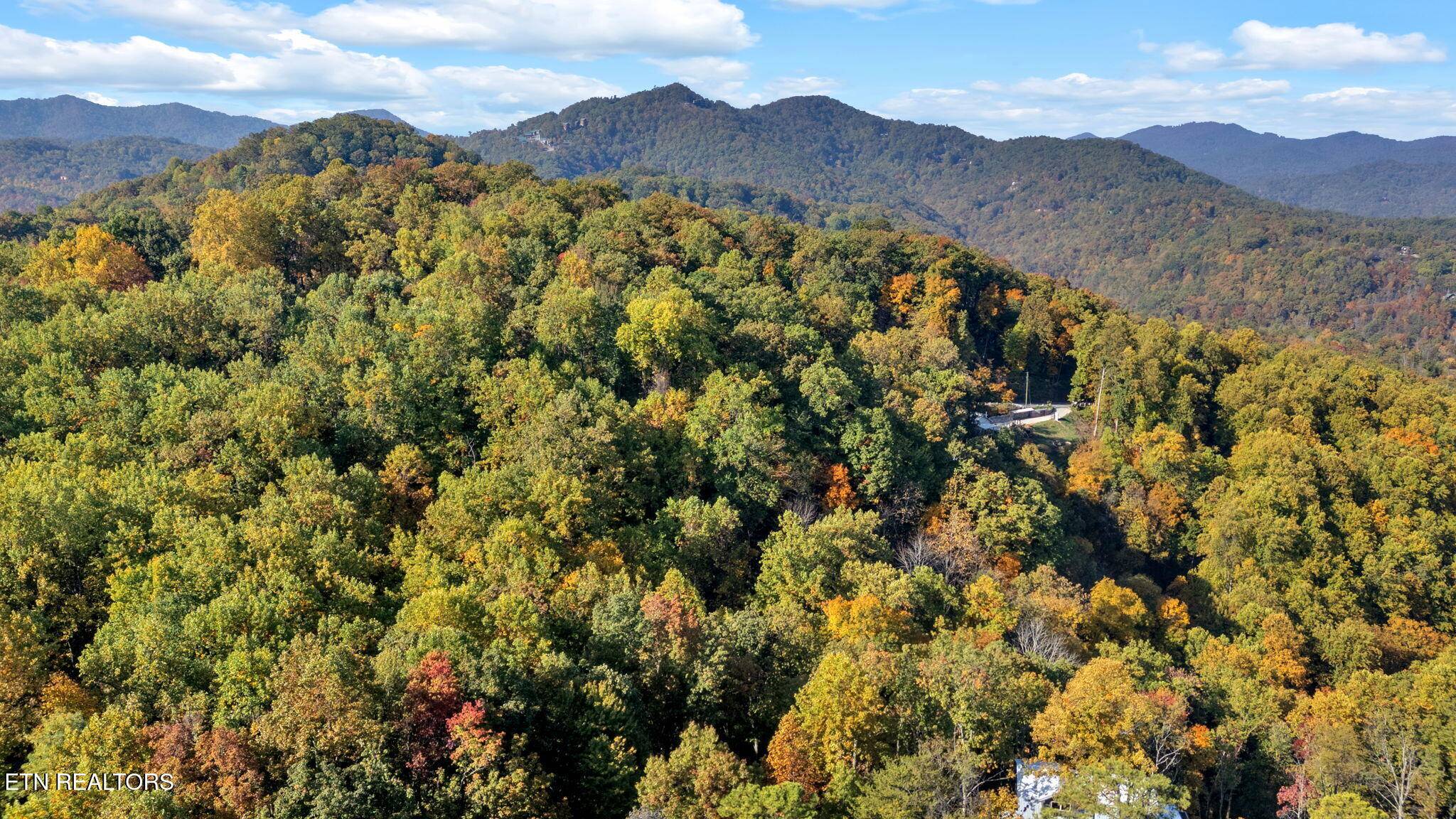 Sevierville, TN 37862,3195 Emerald Springs LOOP