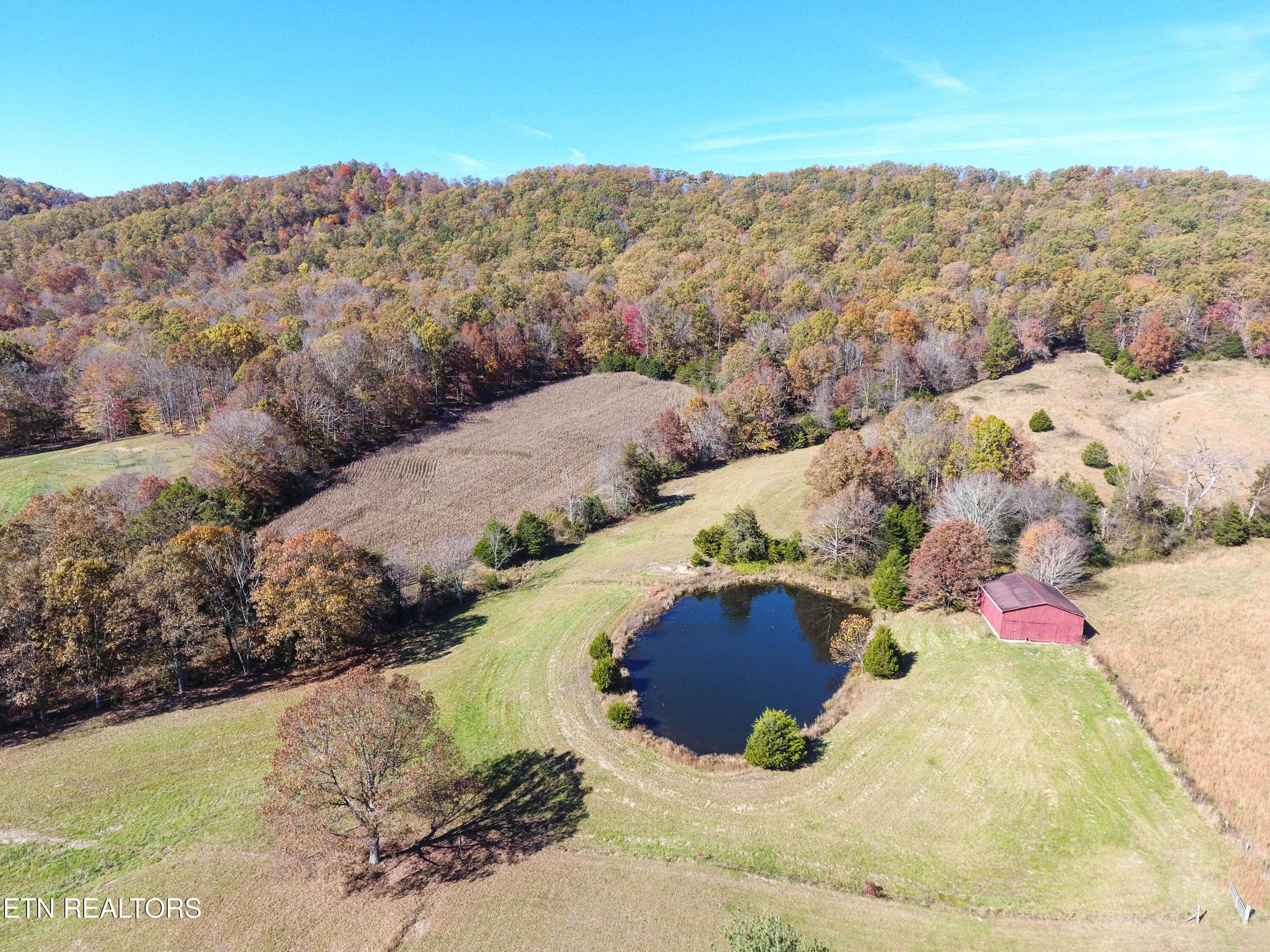 Washburn, TN 37888,2925 Tater Valley Rd