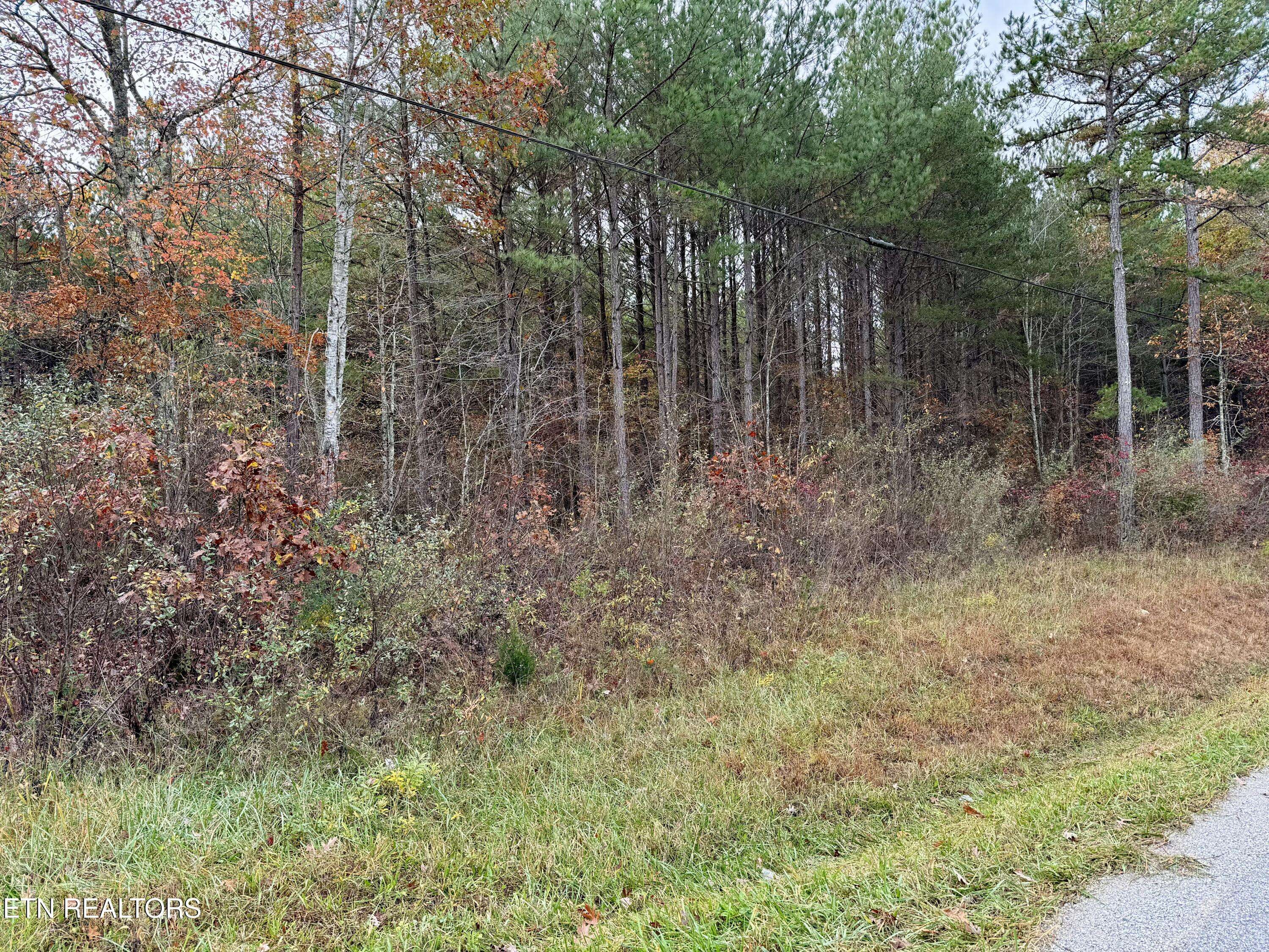 Rockwood, TN 37854,Airport Rd. Lot 7