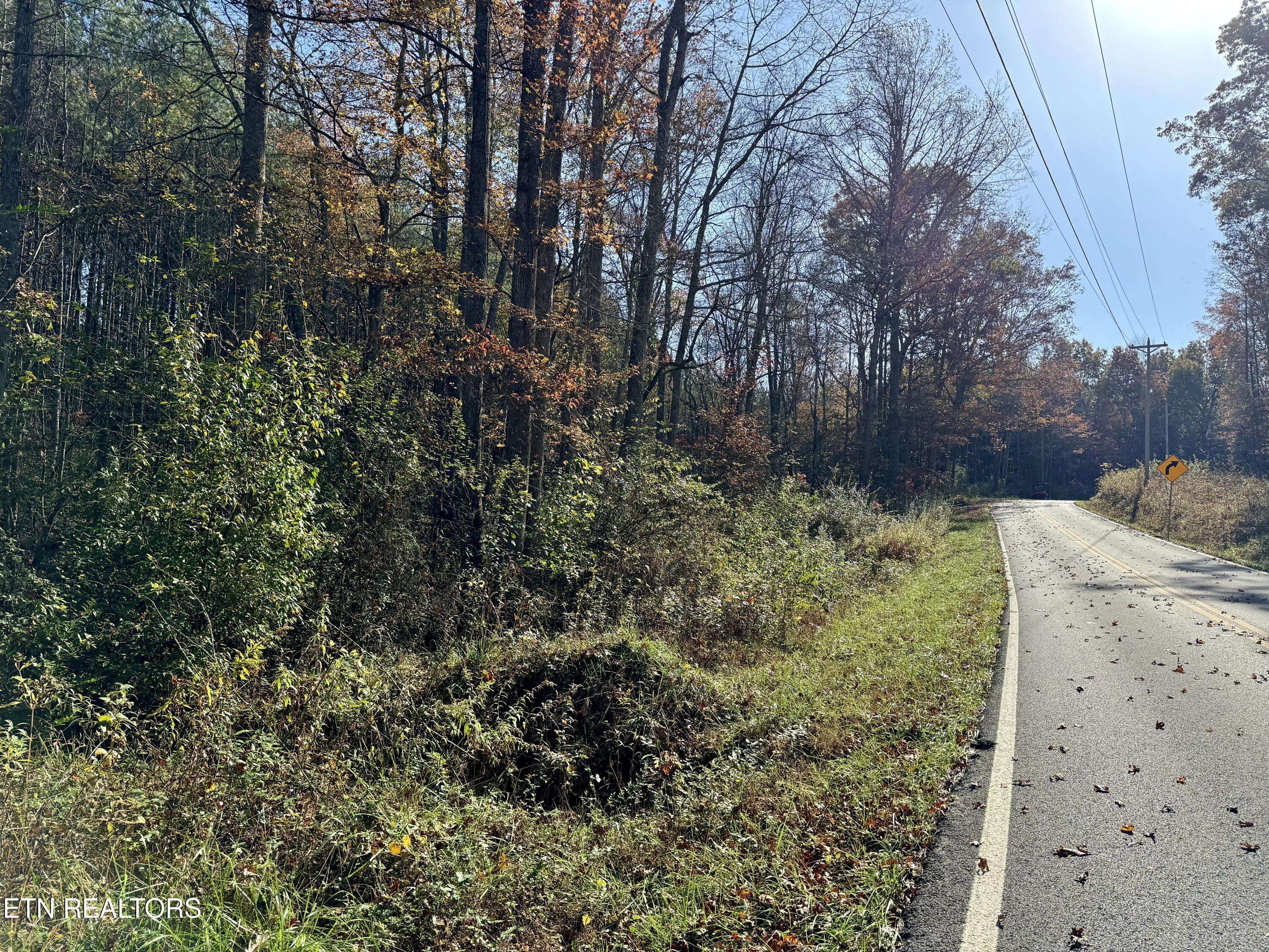 Rockwood, TN 37854,Lower Rockwood Rd Lot 15