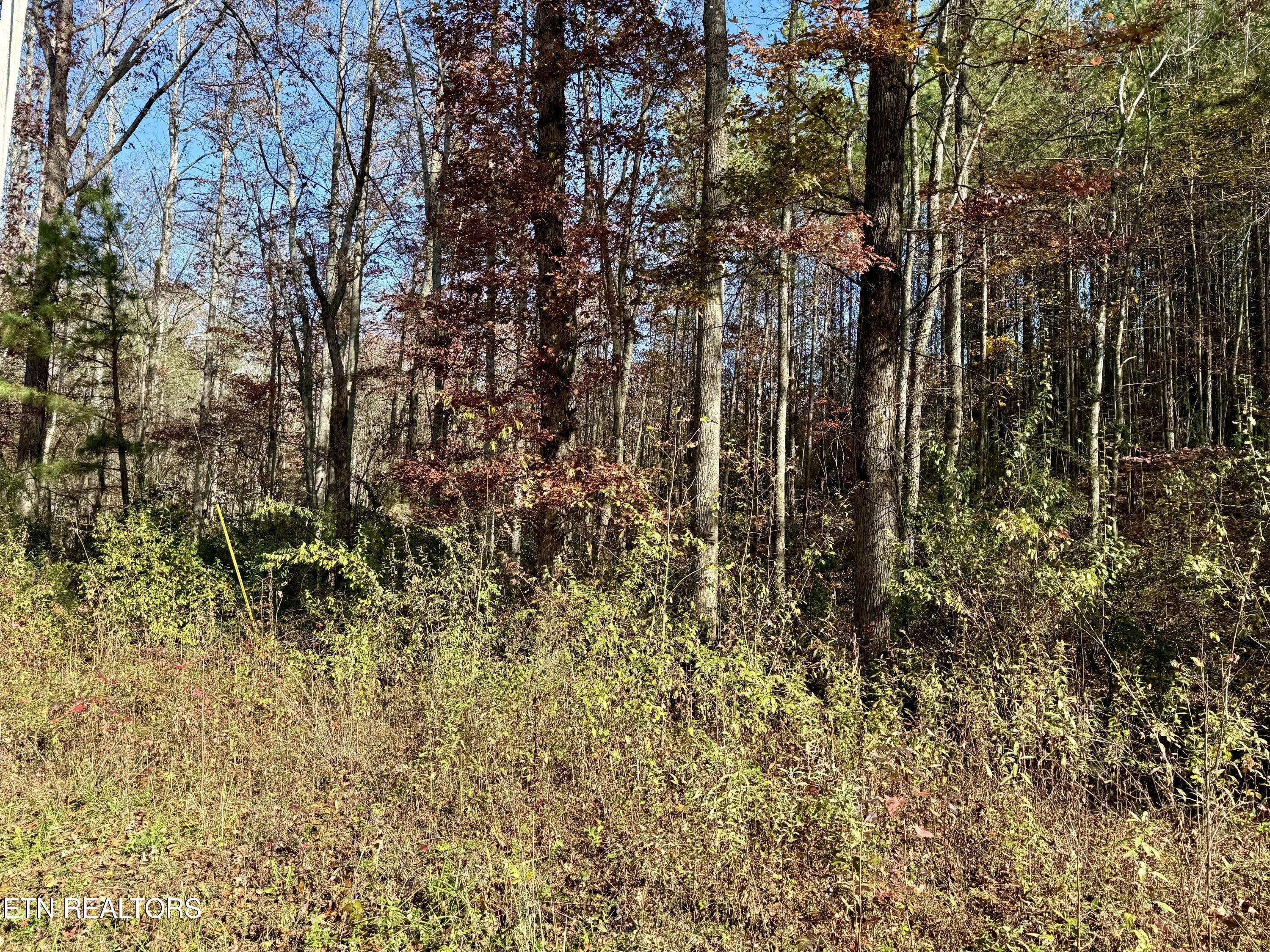 Rockwood, TN 37854,Lower Rockwood Rd Lot 15