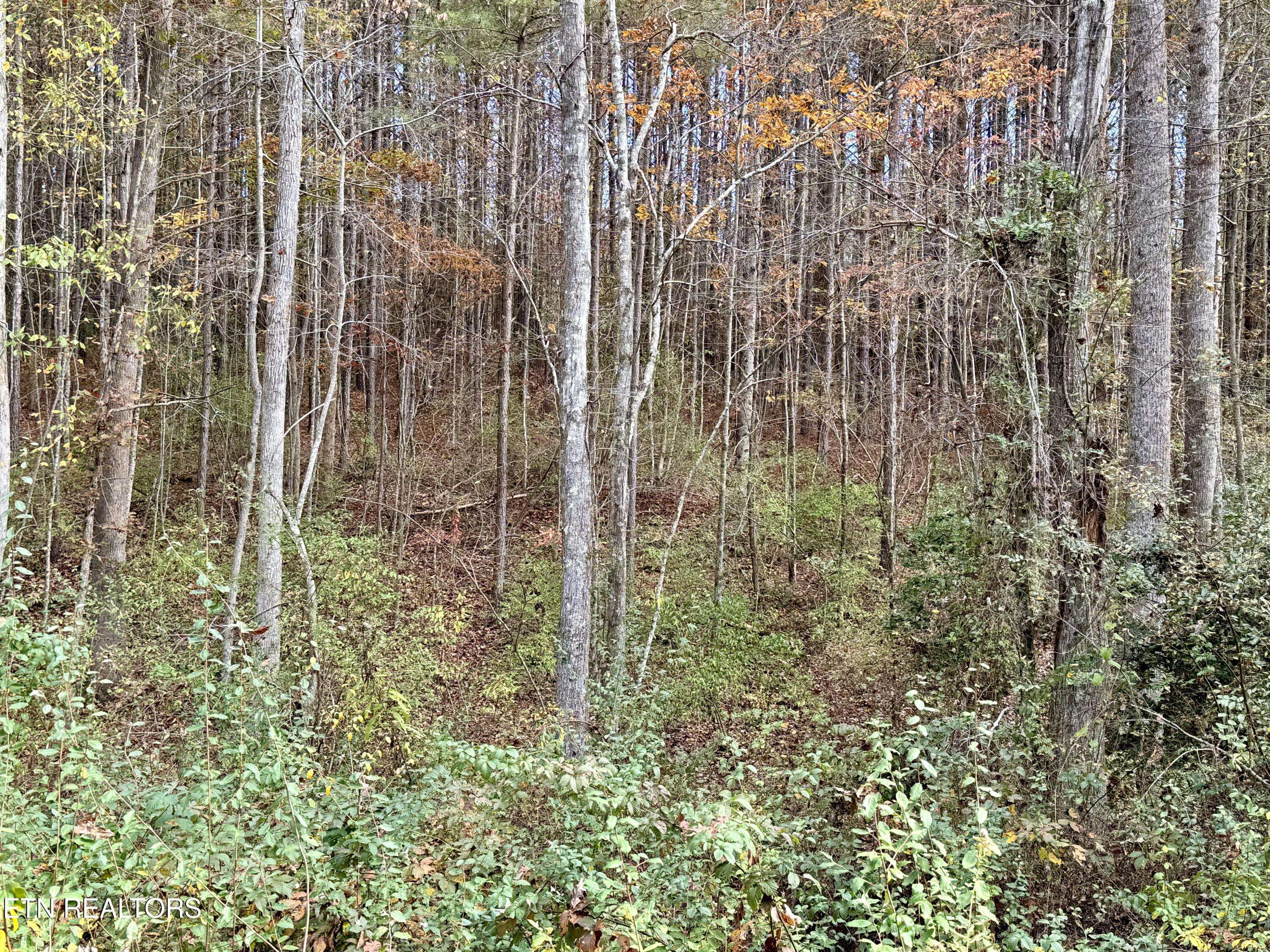 Rockwood, TN 37854,Lower Rockwood Rd Lot 18