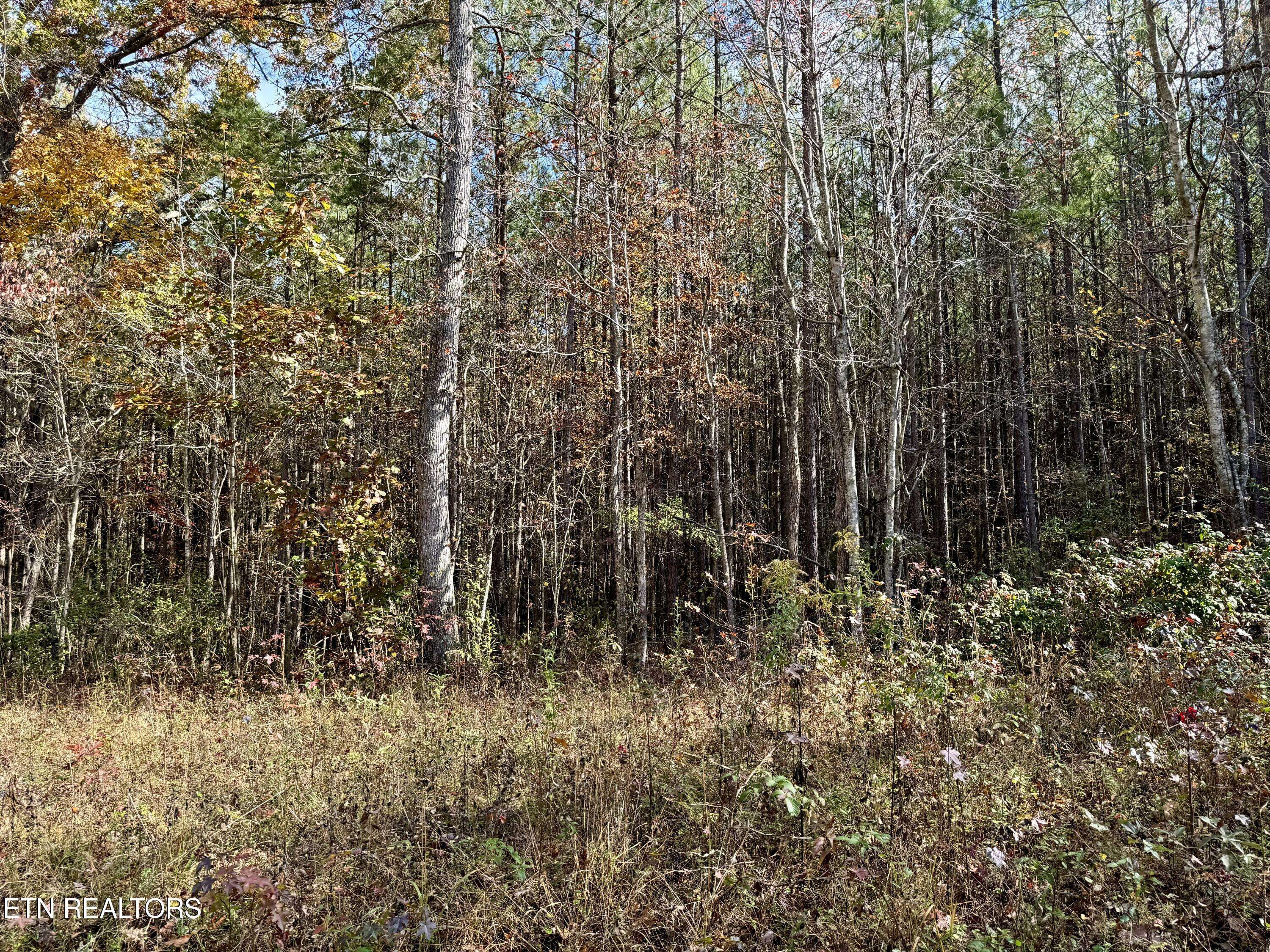 Rockwood, TN 37854,Lower Rockwood Rd Lot 21