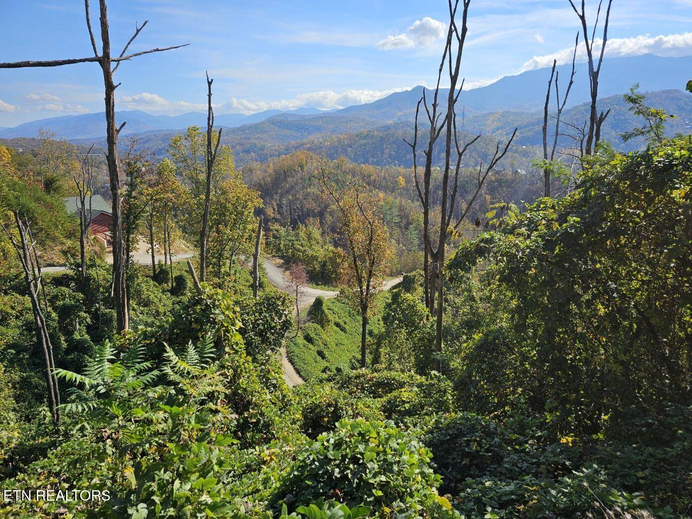 Gatlinburg, TN 37738,639 Kristis PL