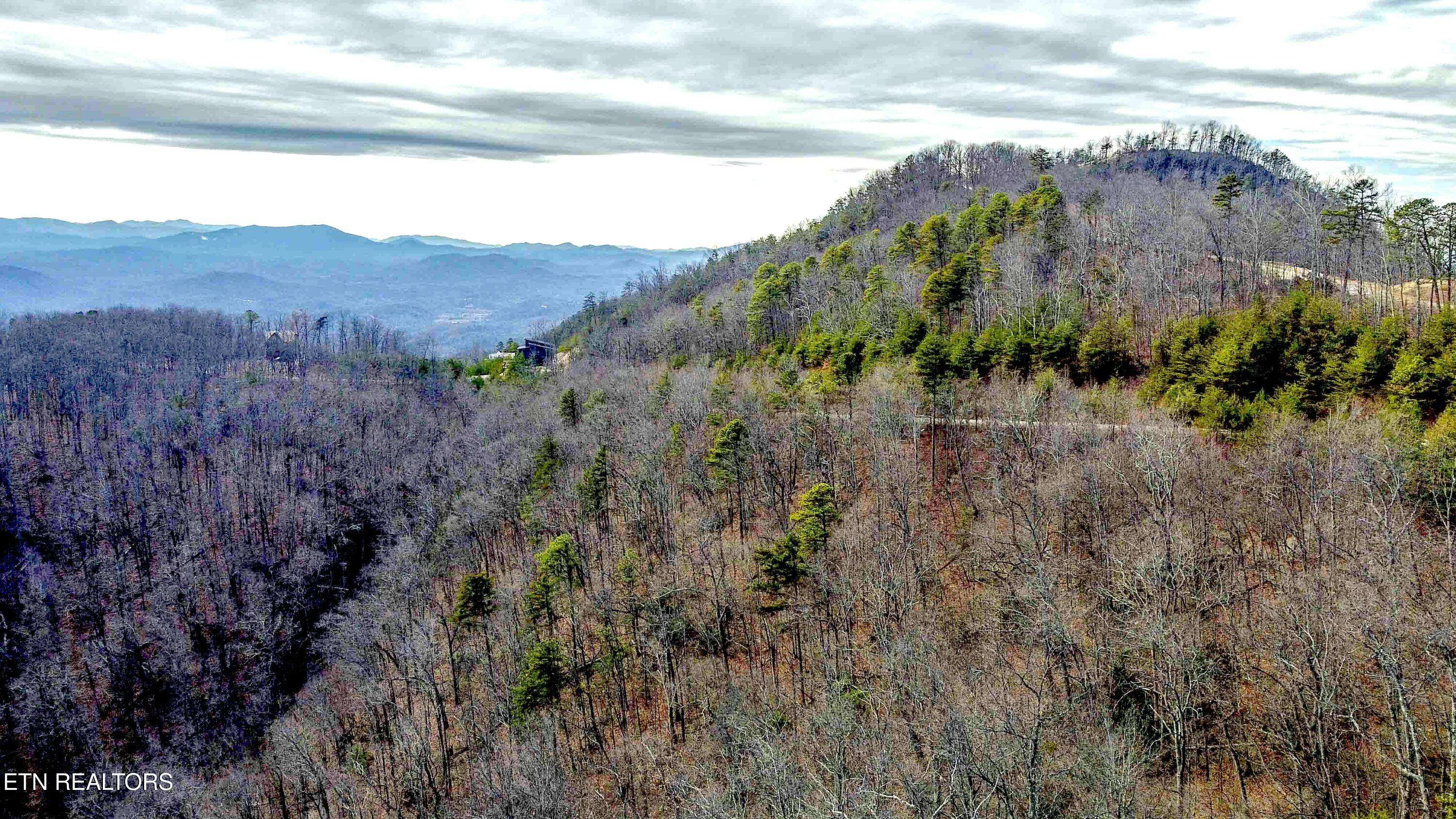 Sevierville, TN 37876,0 Mountain Ashe WAY