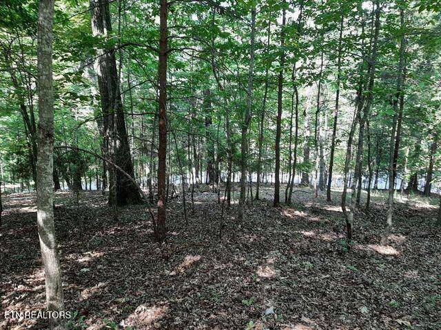 Lafollette, TN 37766,Deer Pond CIR