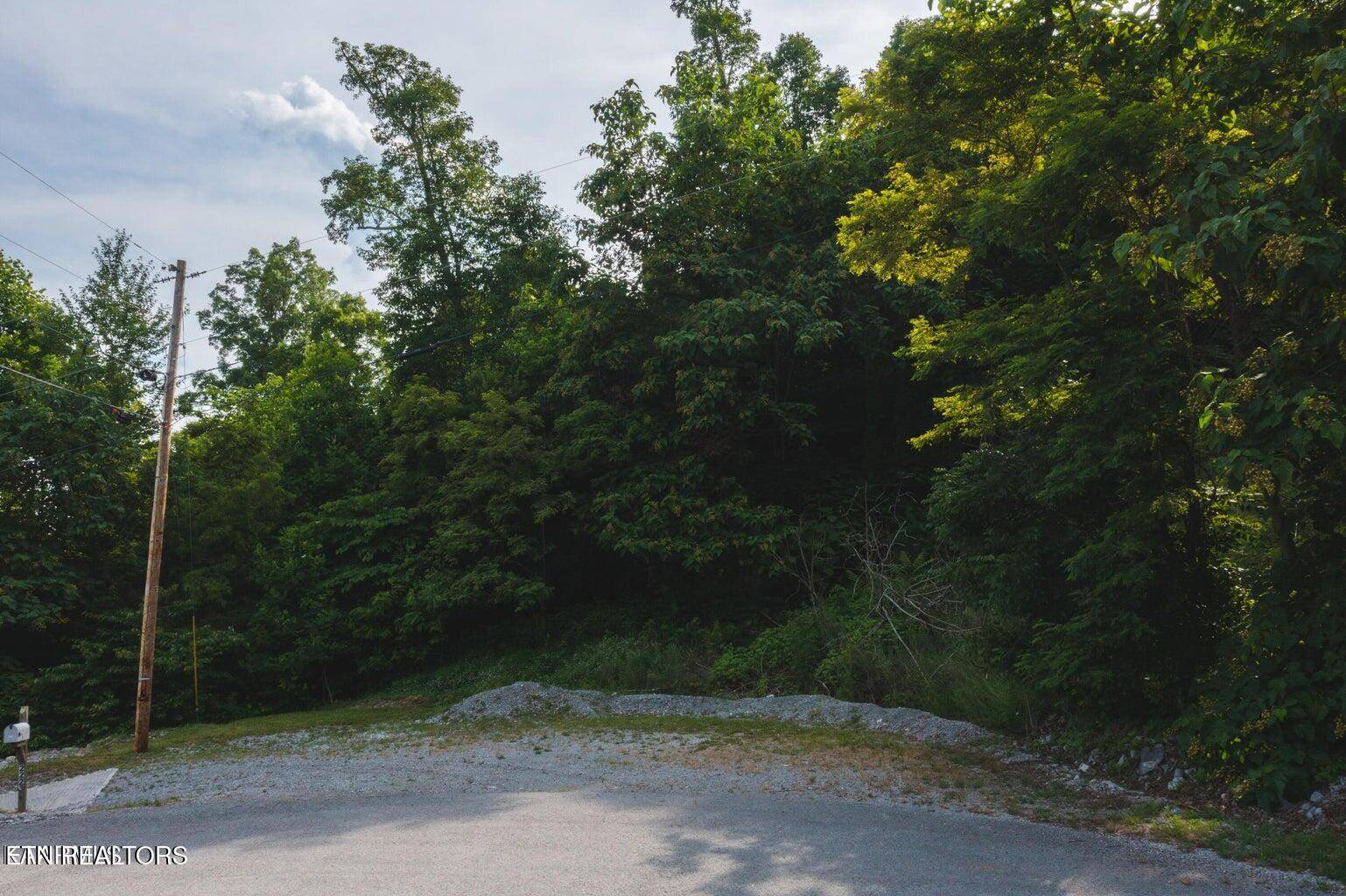 New Tazewell, TN 37825,Lot 655 Chimney Rock Rd