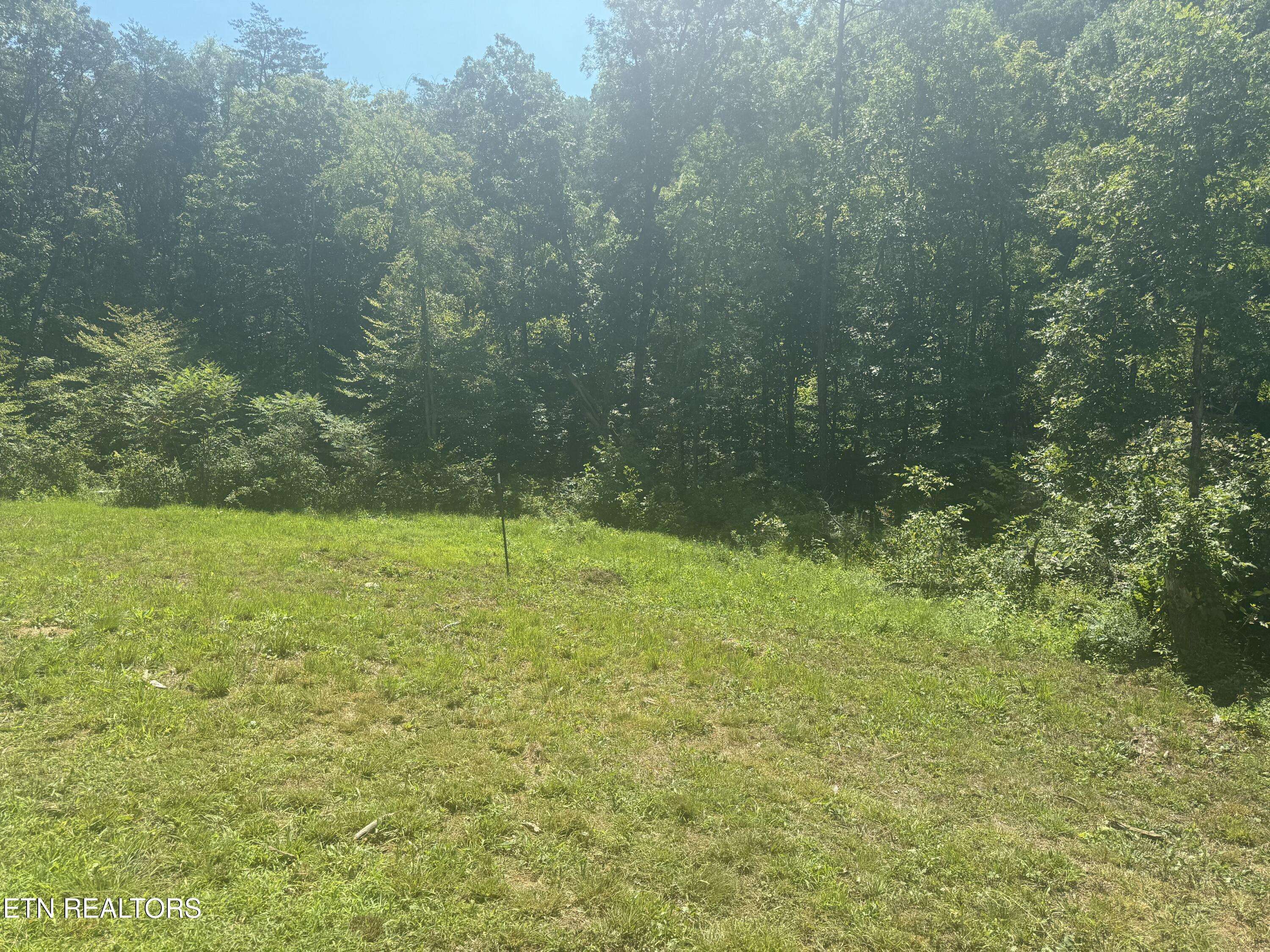 Strawberry Plains, TN 37871,3112 Gibson Rd