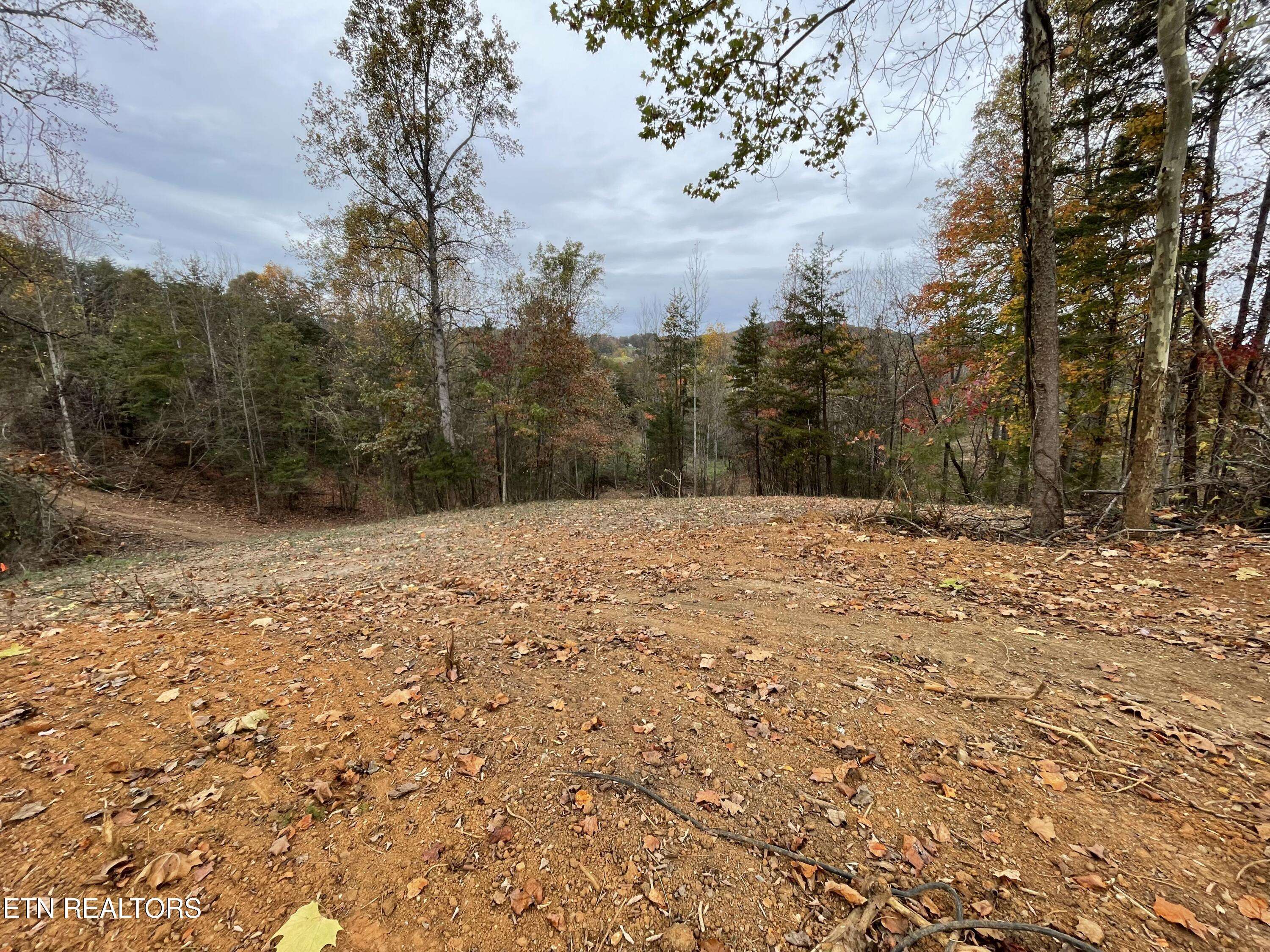 Morristown, TN 37814,Lot 2 Turley Bridge Rd