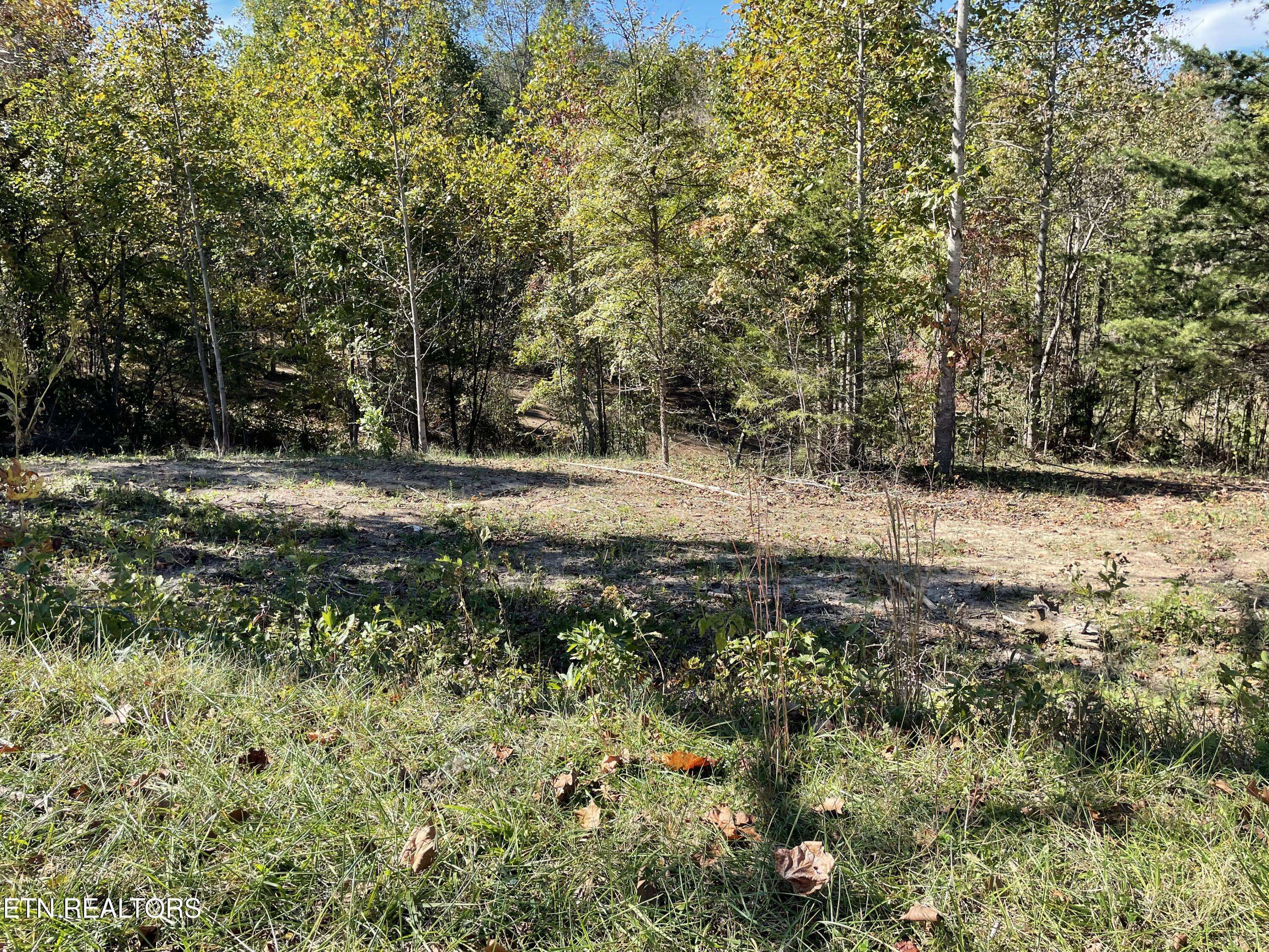 Morristown, TN 37814,Lot 3 Turley Bridge Rd