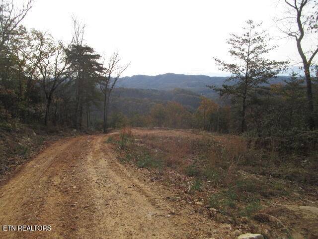 Rutledge, TN 37861,Poor Valley Rd