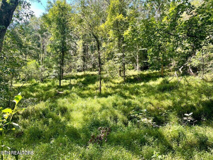 Kingston, TN 37763,Dogwood Valley Rd | Lot 5