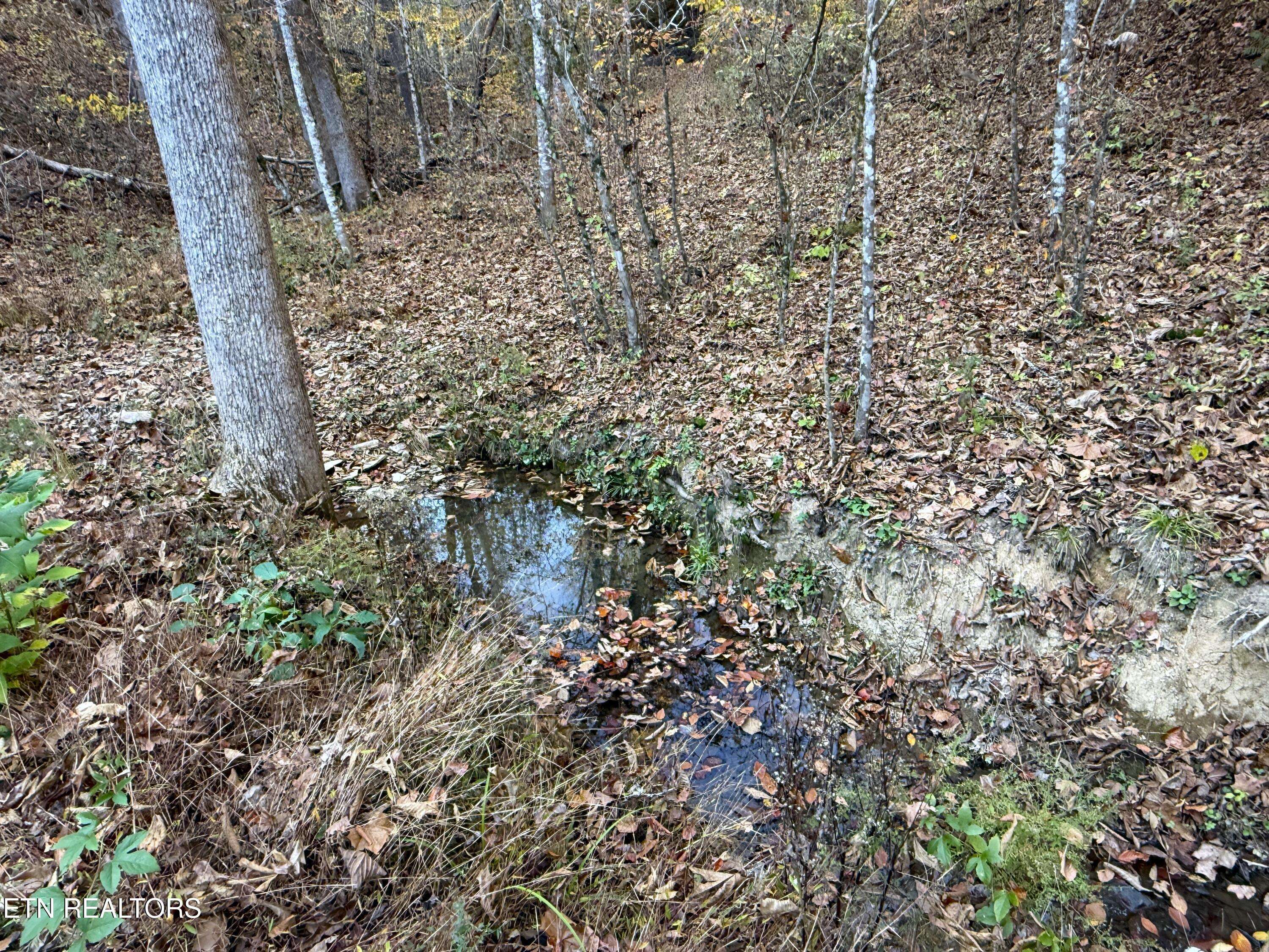 Parrottsville, TN 37843,Tract 7 Topaz WAY