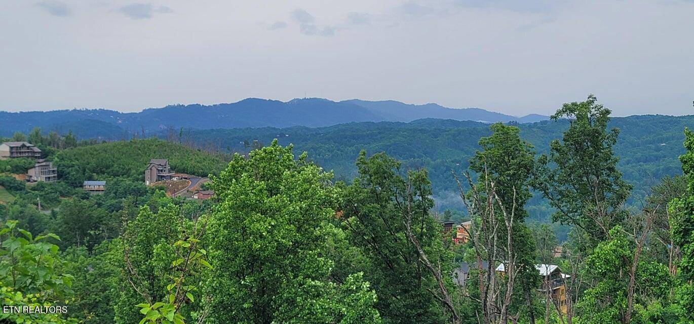 Gatlinburg, TN 37738,635 Wiley Oakley Drive DR