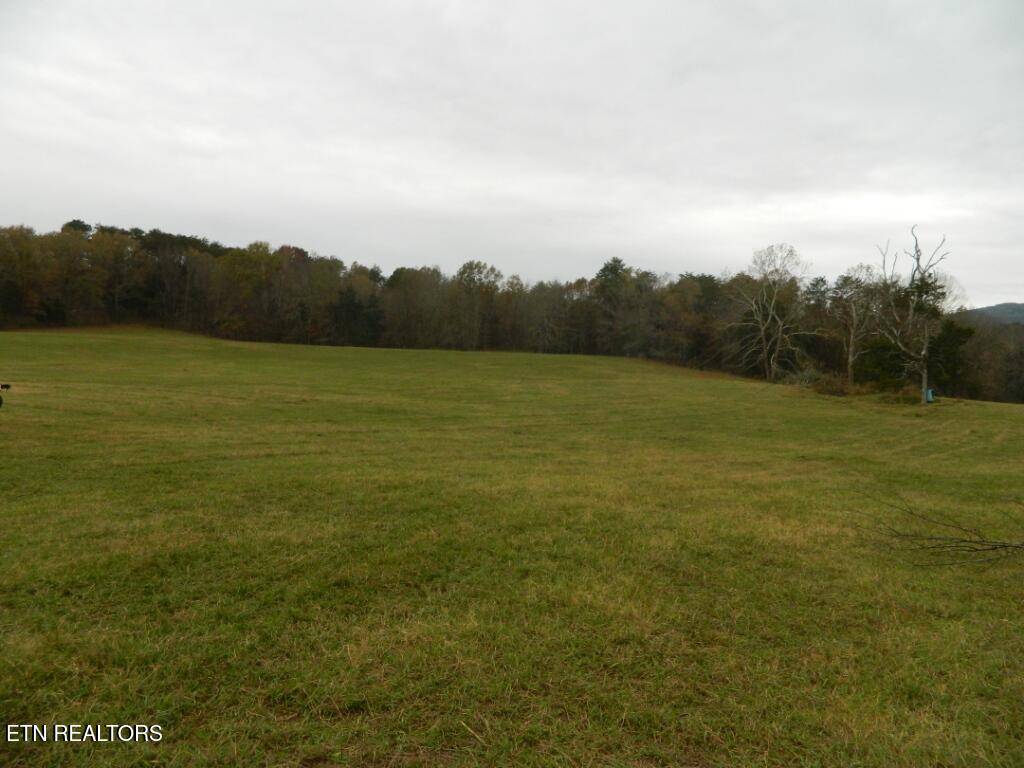 Blaine, TN 37709,Spencer Hollow 75 Acres Rd