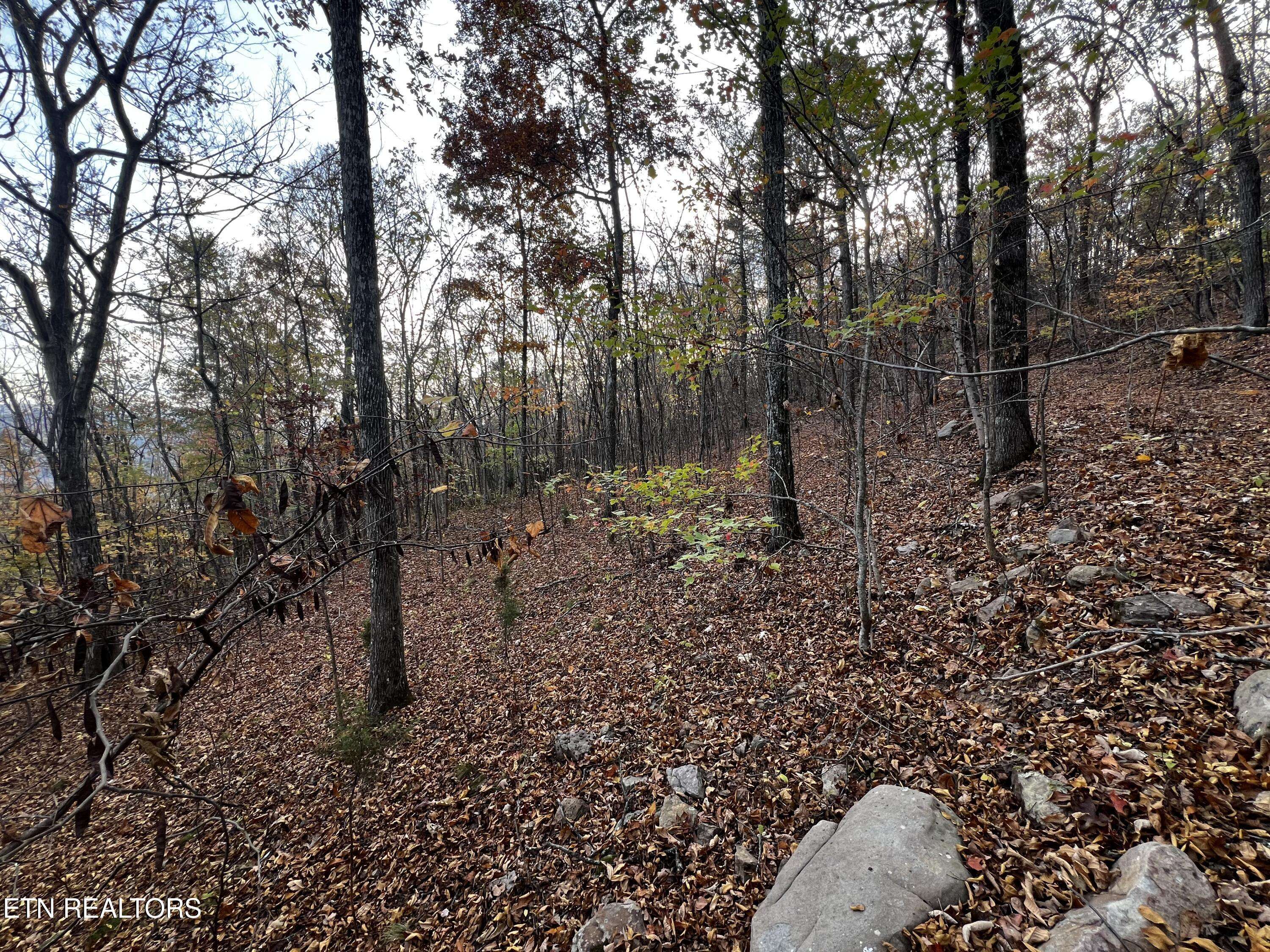 New Tazewell, TN 37825,Lot 675 Chimney Rock Road