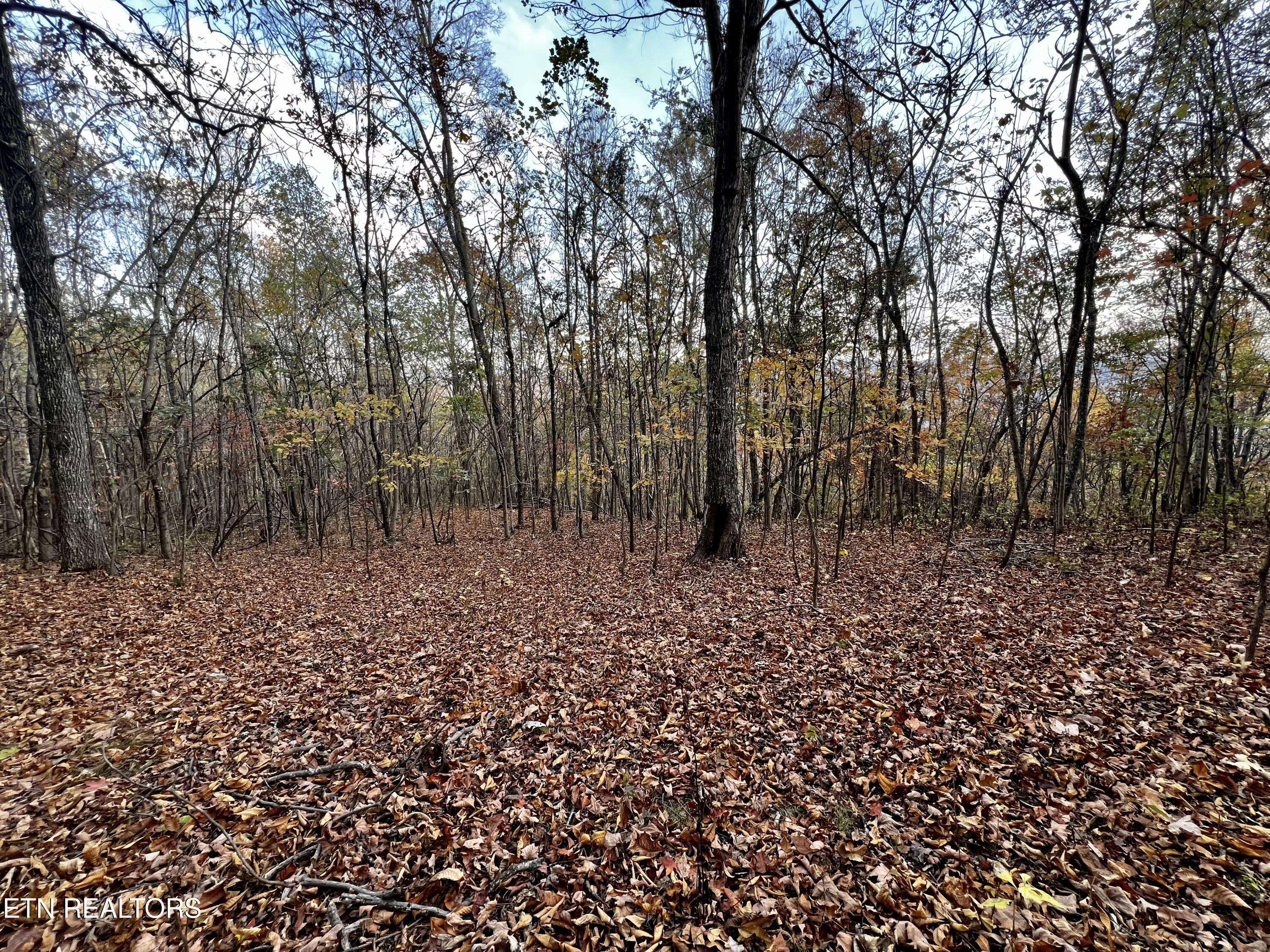 New Tazewell, TN 37825,Lot 675 Chimney Rock Road