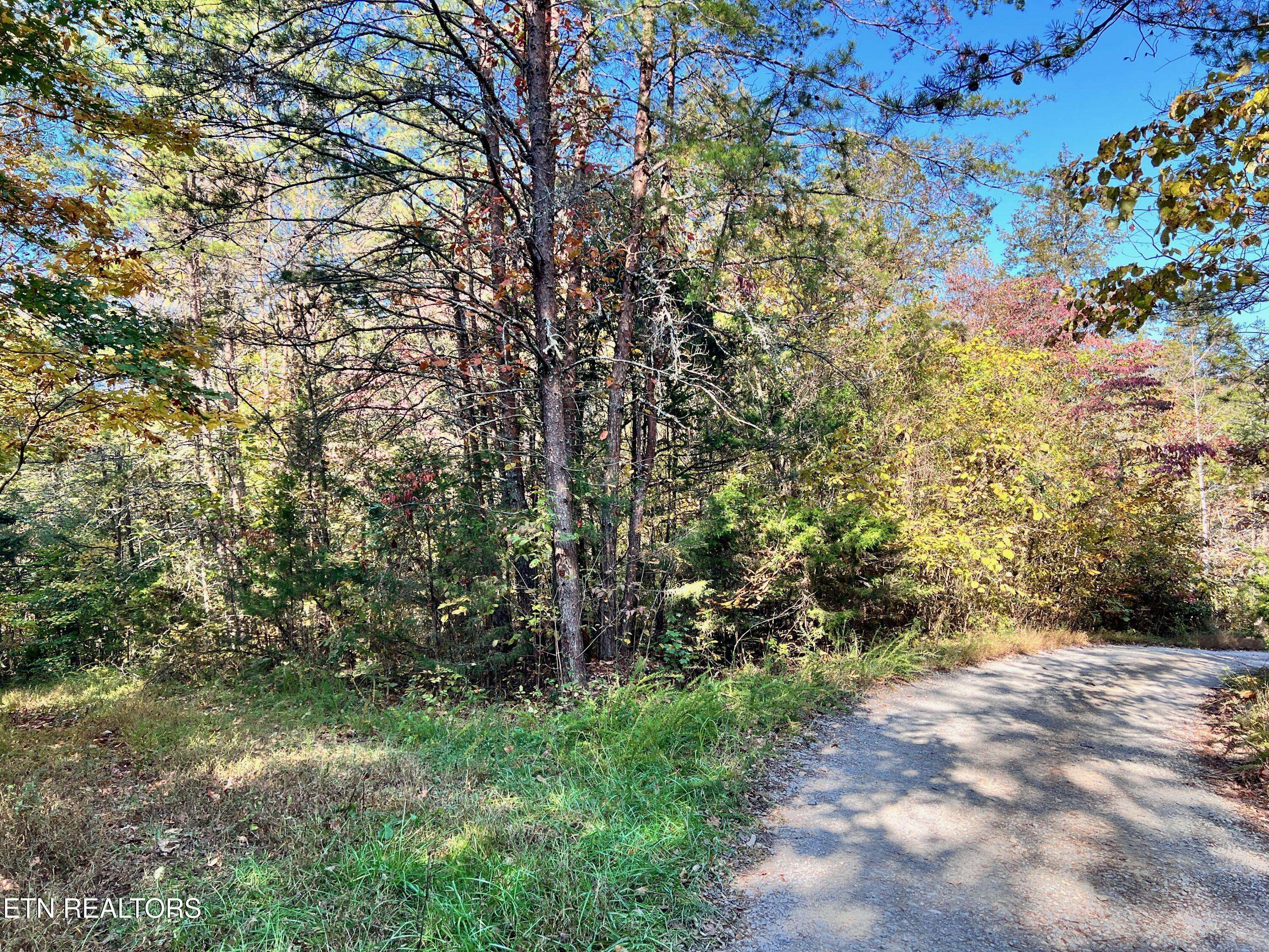 New Tazewell, TN 37825,Lone Mountain Rd