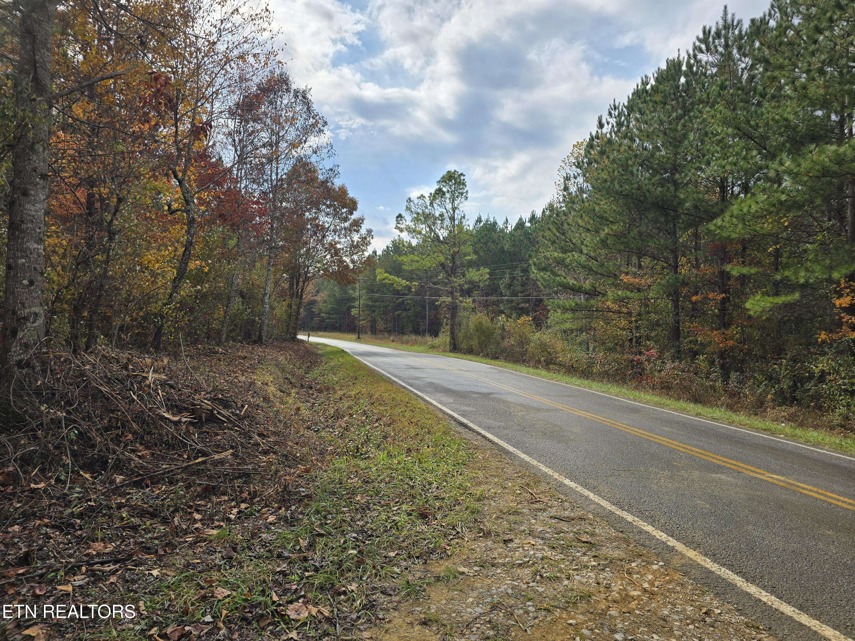 Robbins, TN 37852,Lot 4 Robbins Rd