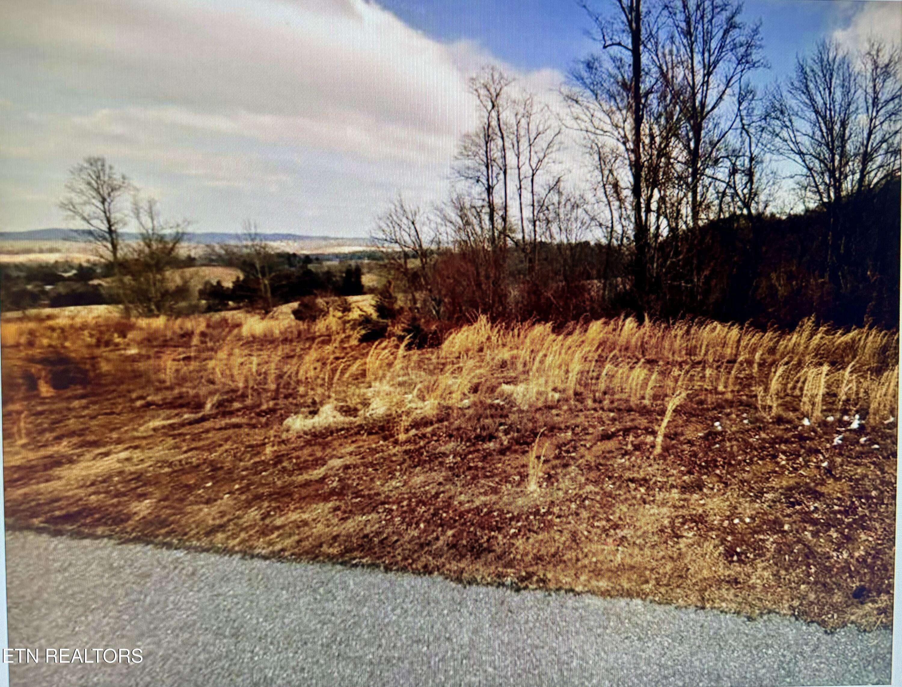 Andersonville, TN 37705,Trillium Dr. Lot 61 DR