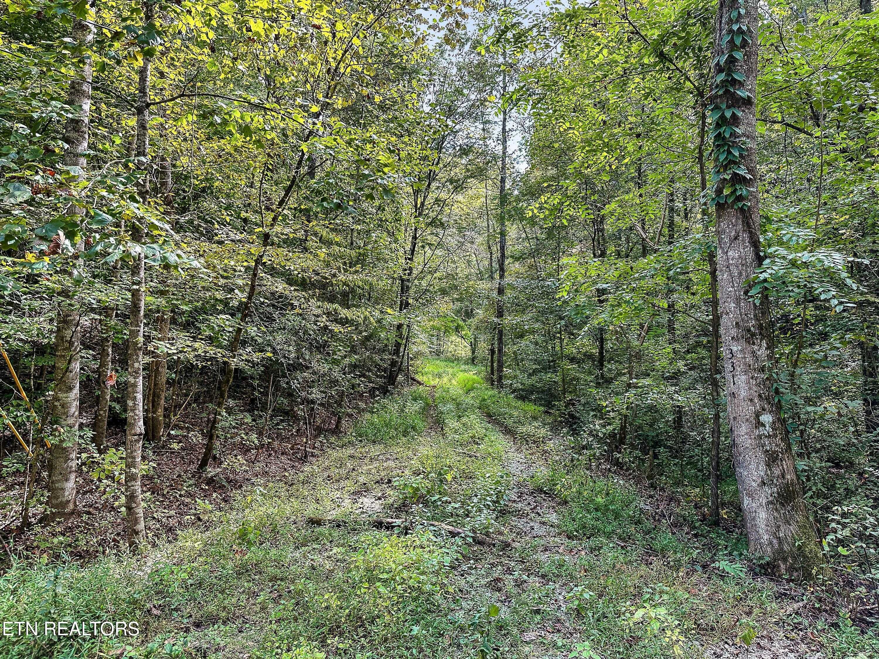 Walland, TN 37886,Chestnut Ridge Rd