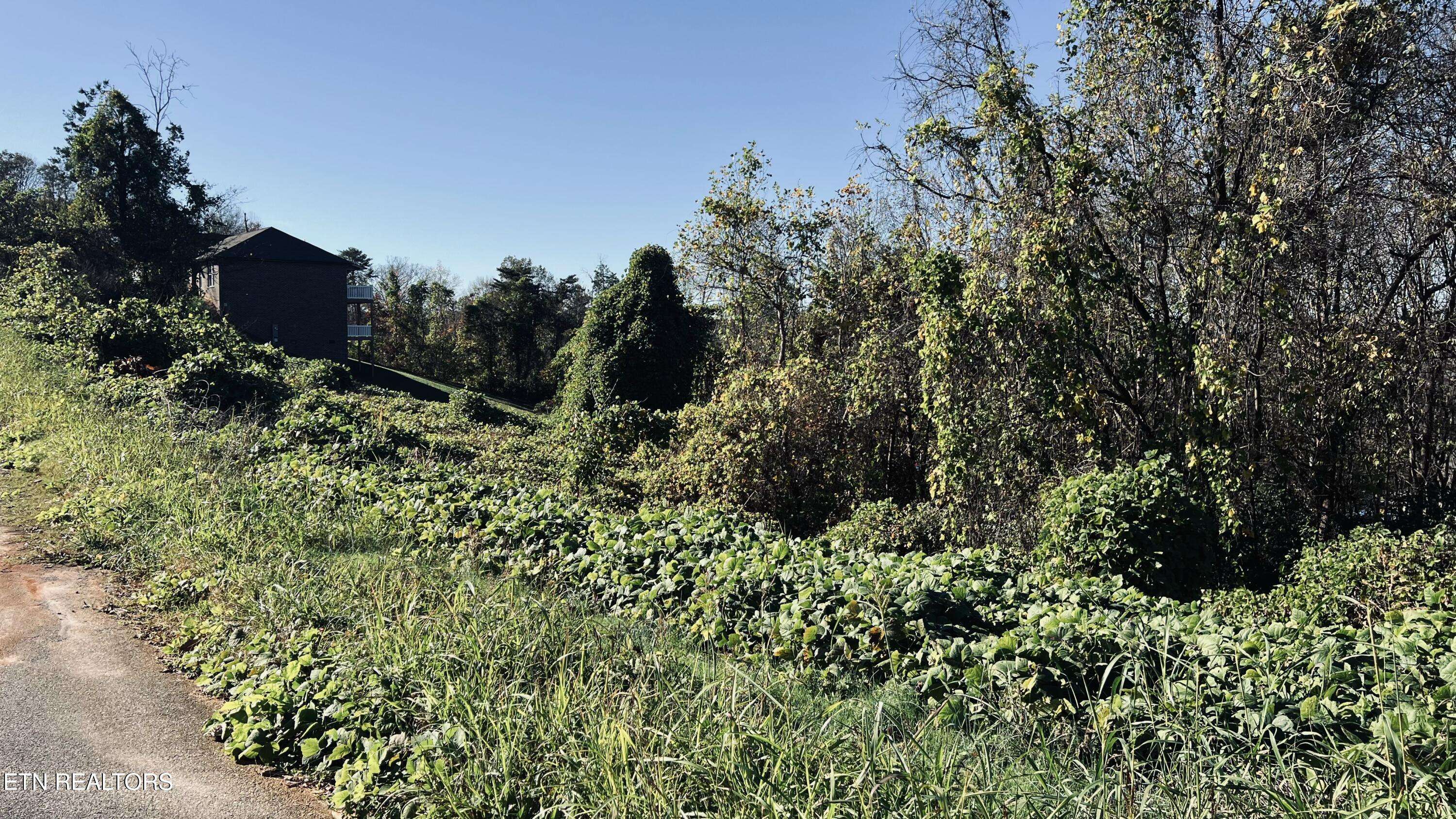 Seymour, TN 37865,Lot 25 Chapman View DR