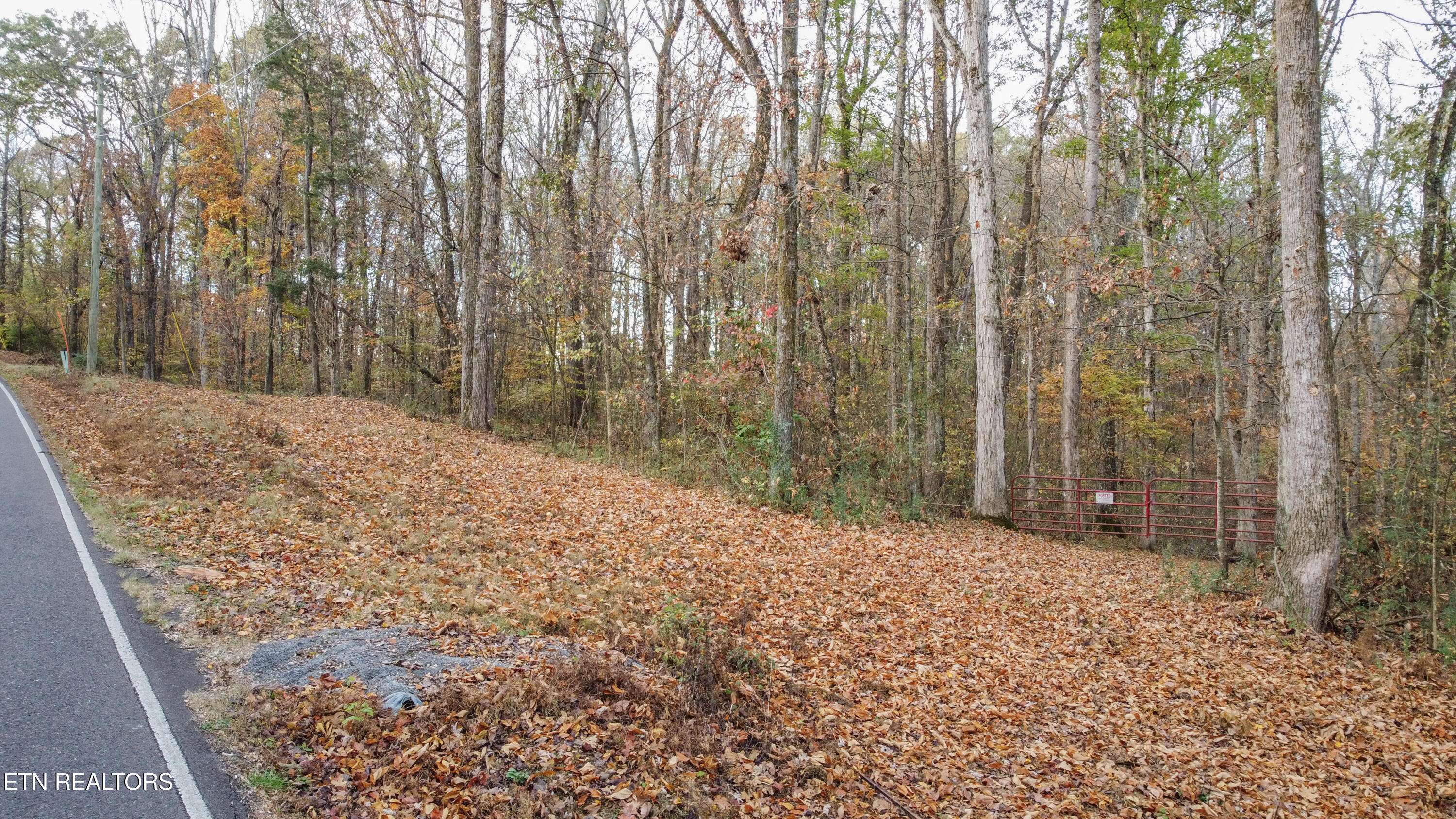 Englewood, TN 37329,Lot 4 Parcel 059 040.02 Rd