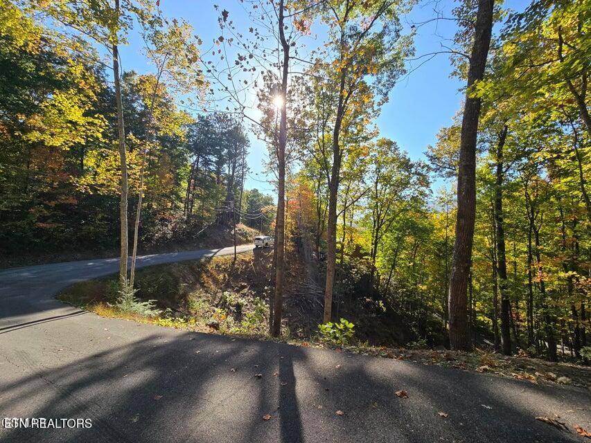 Gatlinburg, TN 37738,Lot 6 Scenic Trail