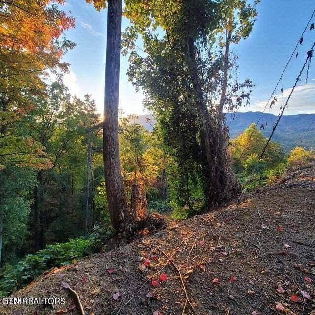 Gatlinburg, TN 37738,0 Scenic Trail