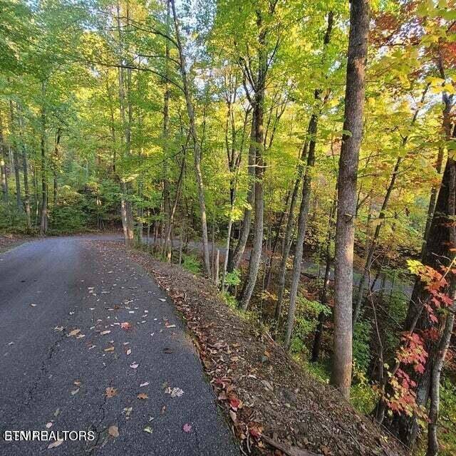 Gatlinburg, TN 37738,0 Scenic Trail