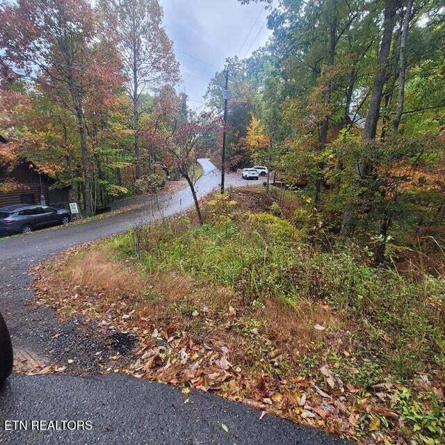 Gatlinburg, TN 37738,Lot 2 Vista Drive