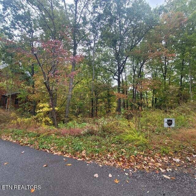 Gatlinburg, TN 37738,Lot 2 Vista Drive