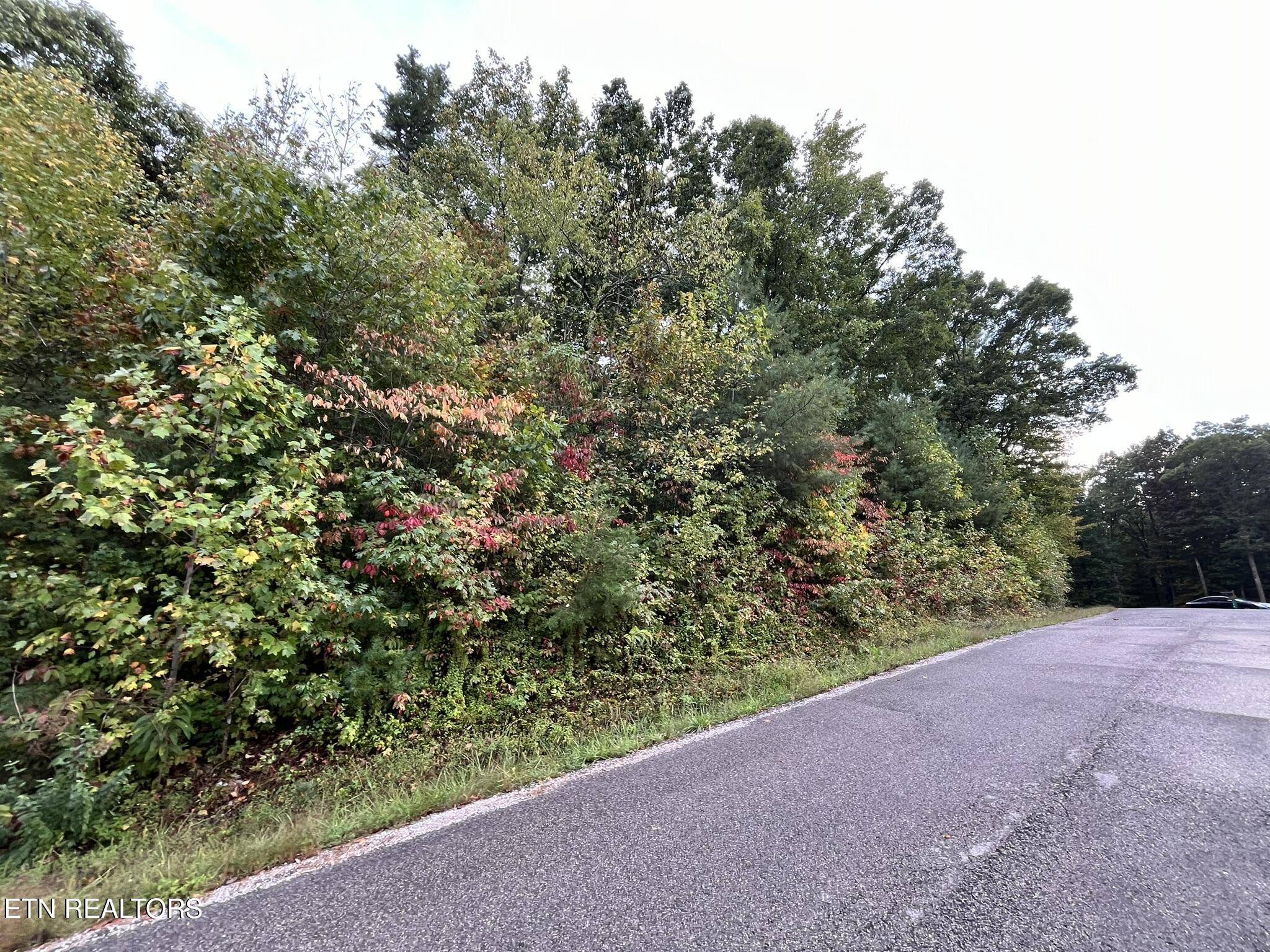 Oneida, TN 37841,LT 1 Evergreen DR