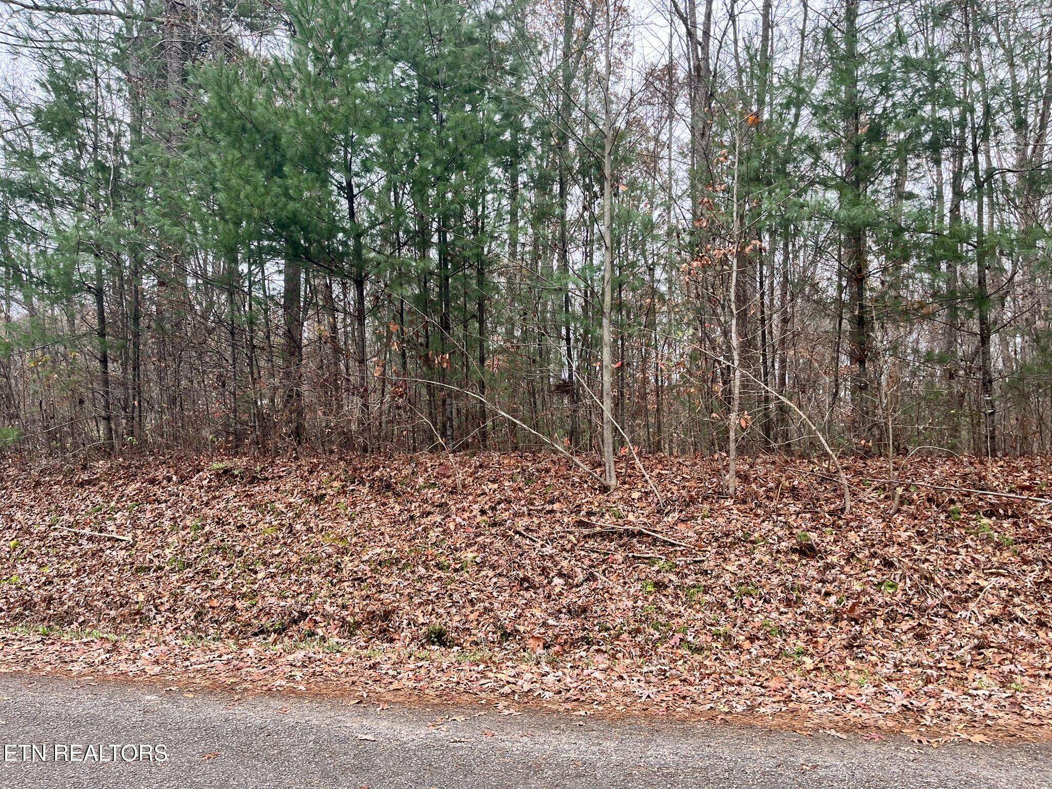 Oneida, TN 37841,LT 1 Evergreen DR