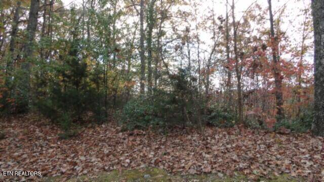 Smithville, TN 37166,Lot 349 Drew Court