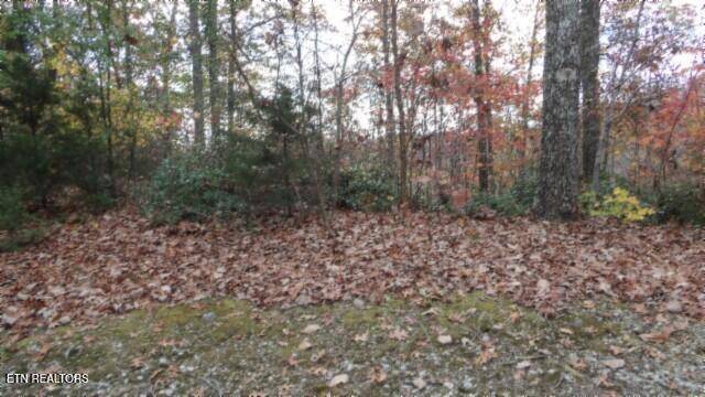 Smithville, TN 37166,Lot 349 Drew Court