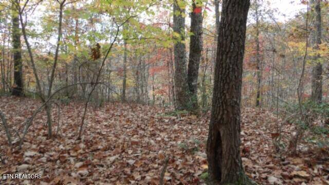 Smithville, TN 37166,Lot 349 Drew Court