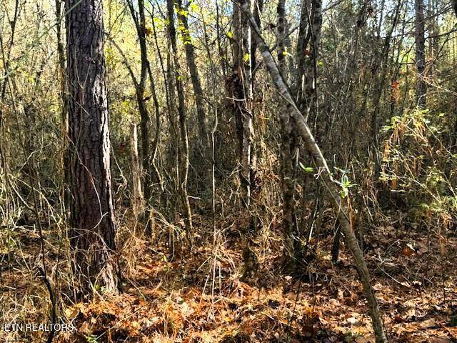 Decatur, TN 37322,5 acres Redman Lane