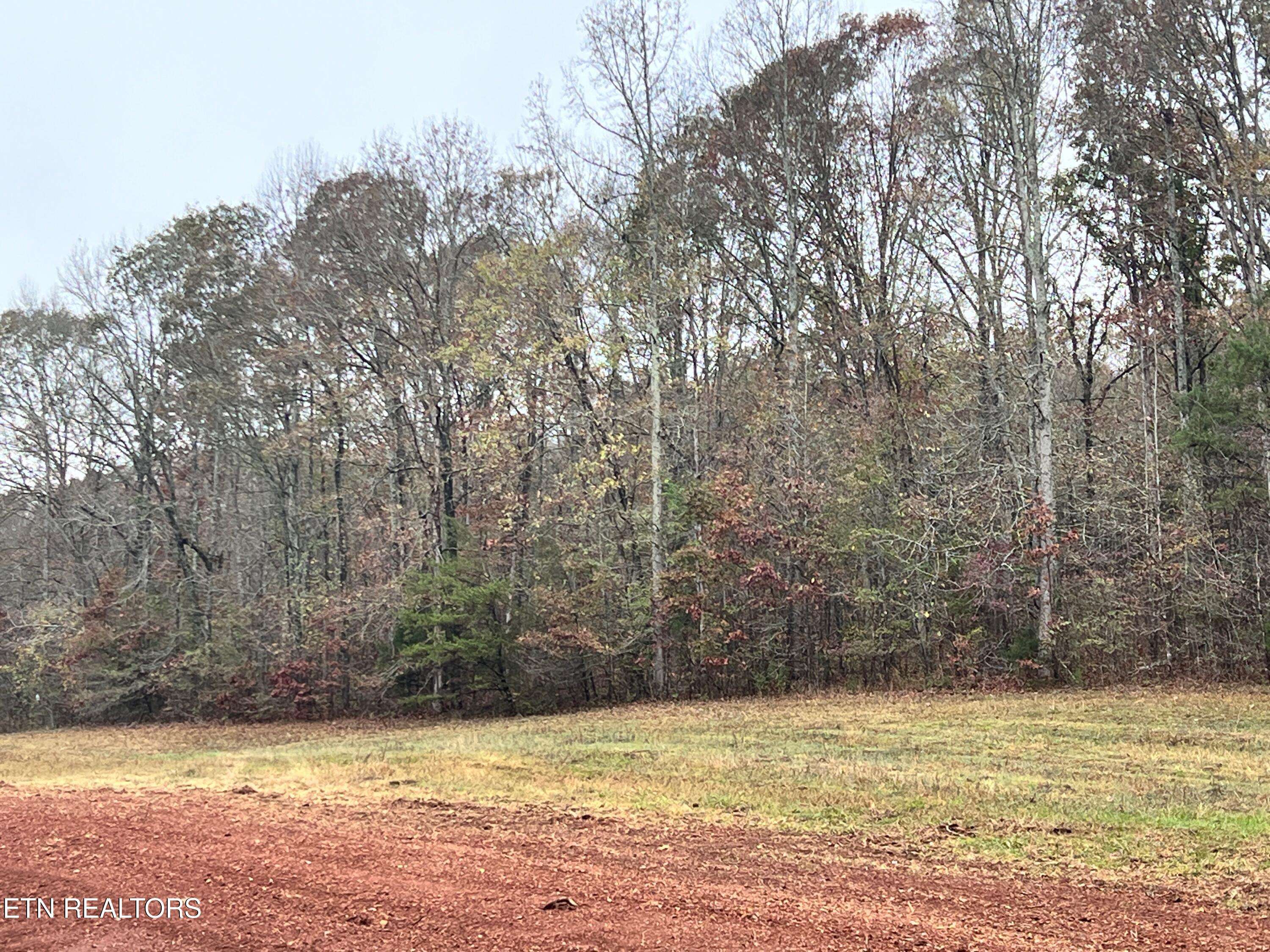 Kingston, TN 37763,Lot 1 Raby Hollow Rd