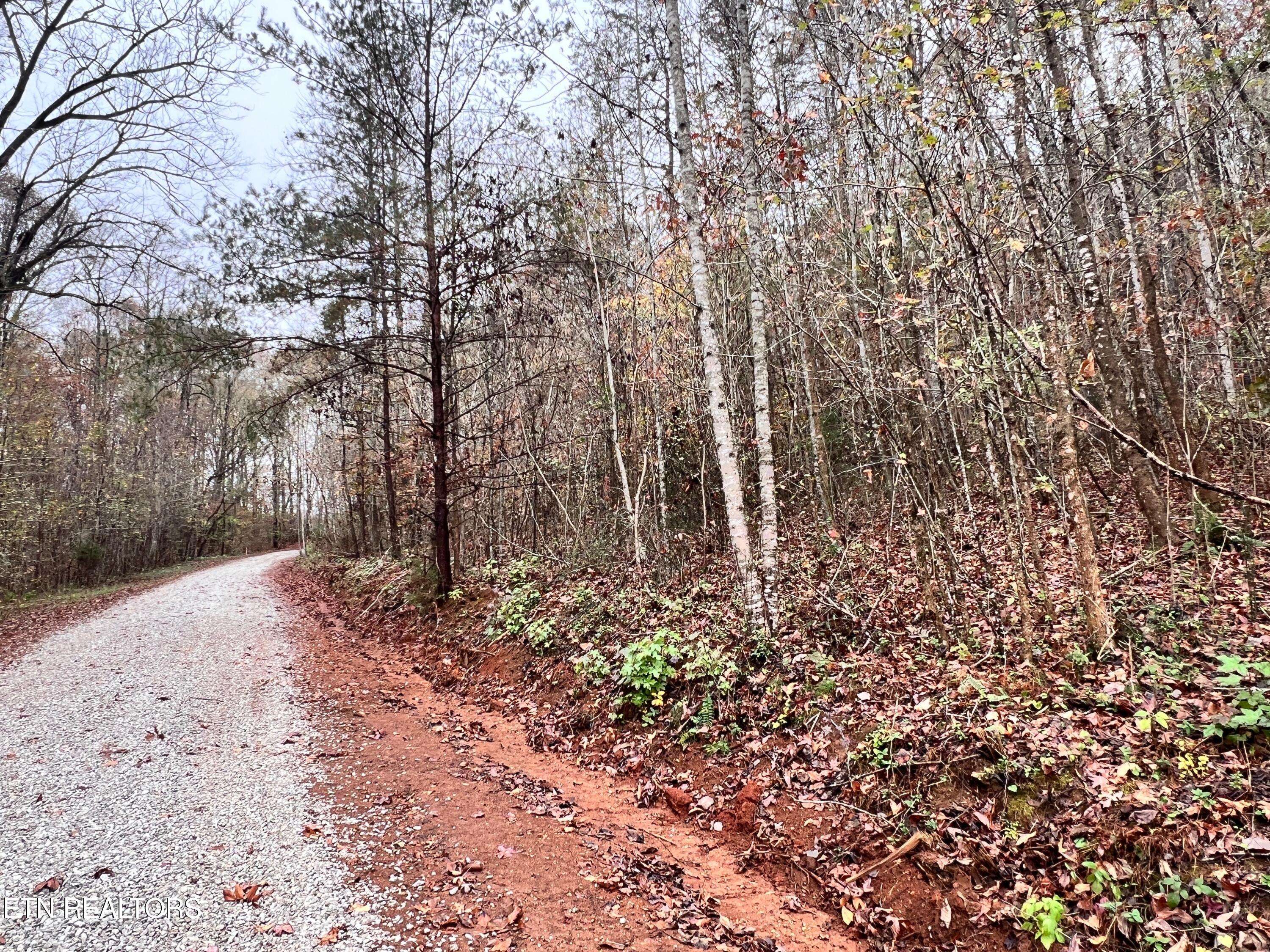 Kingston, TN 37763,Lot 2 Raby Hollow Rd