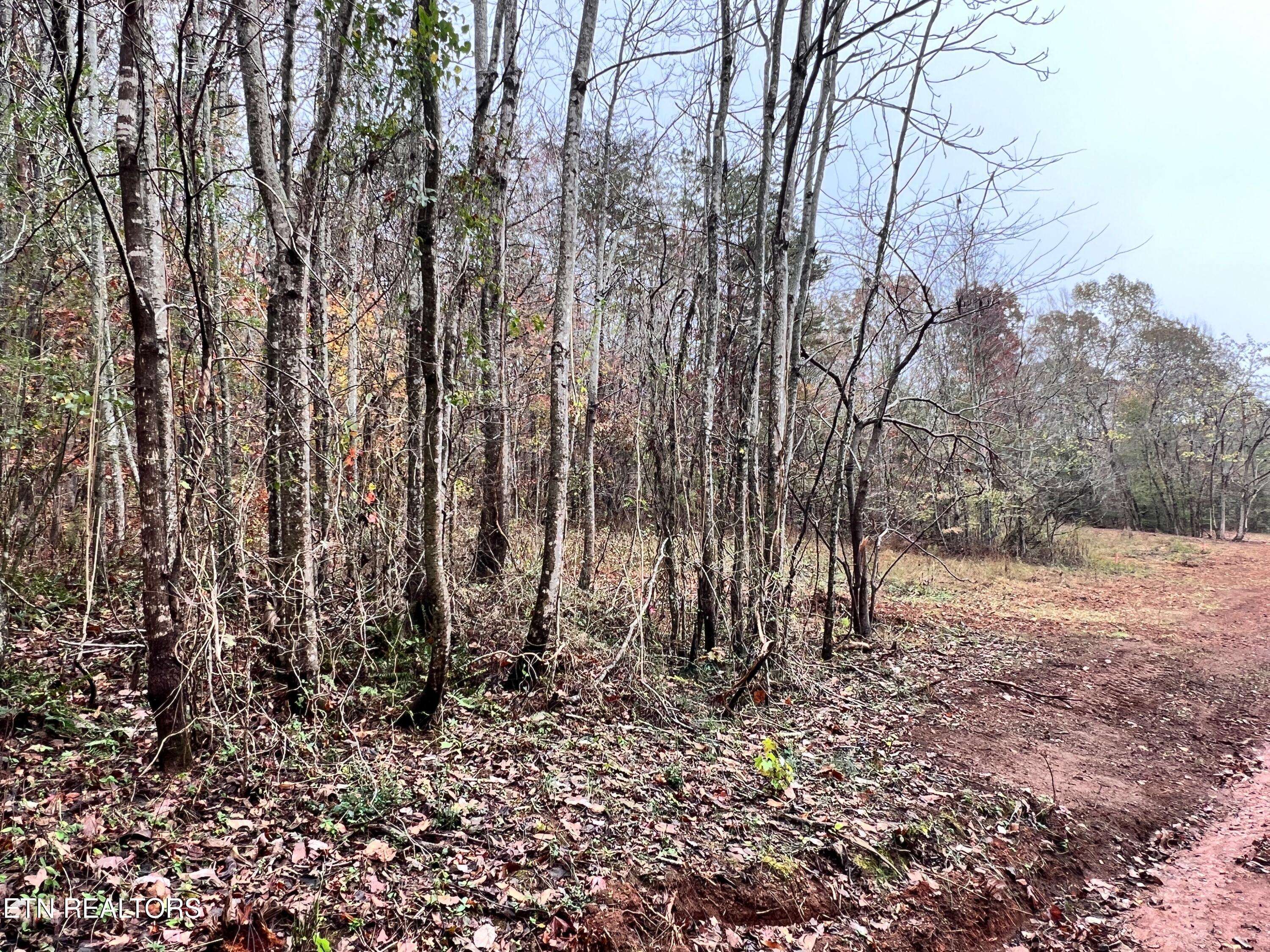 Kingston, TN 37763,Lot 2 Raby Hollow Rd