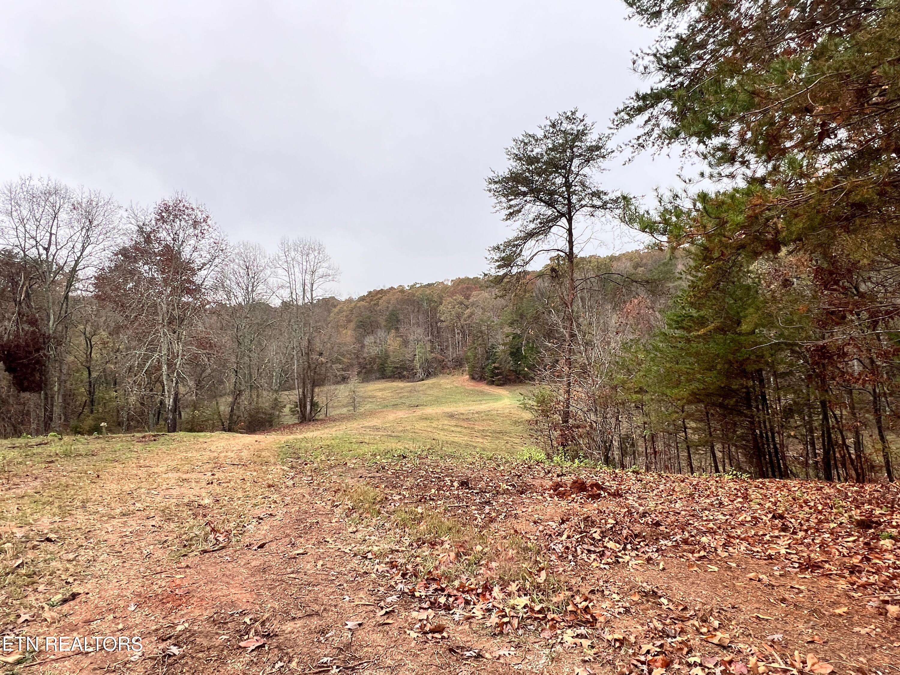 Kingston, TN 37763,Lot 3 Raby Hollow Rd