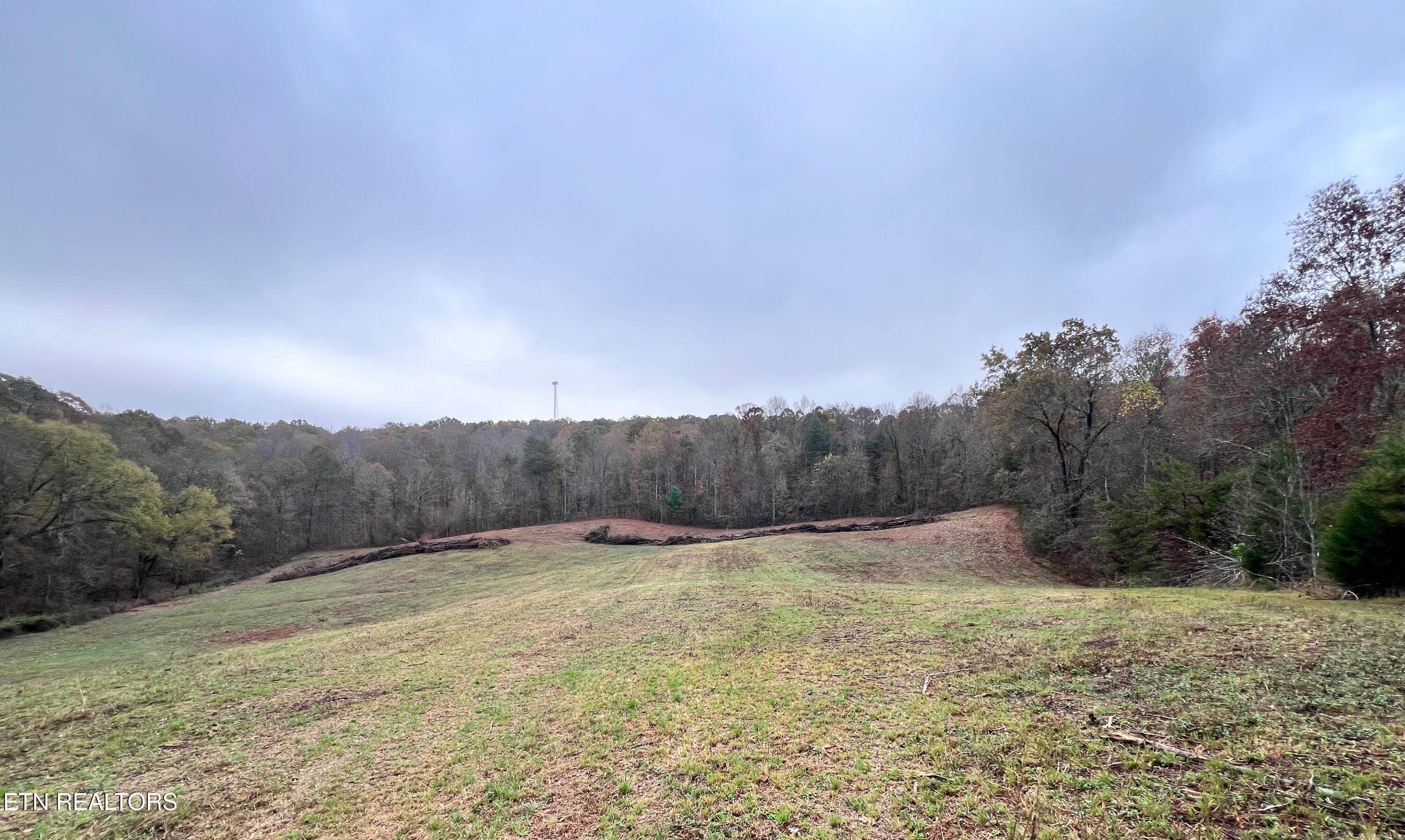 Kingston, TN 37763,Lot 4 Raby Hollow Rd