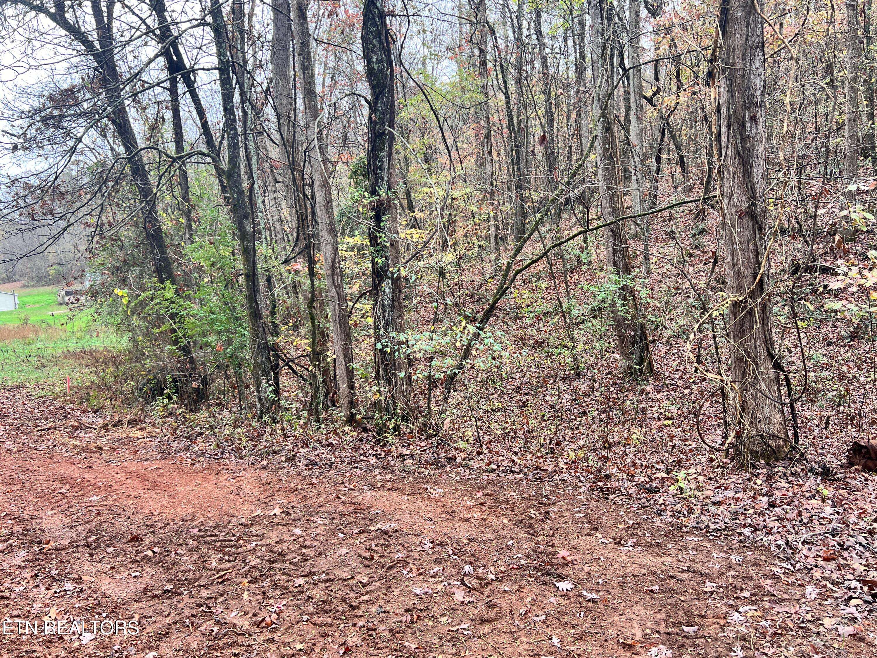 Kingston, TN 37763,Lot 6 Raby Hollow Rd