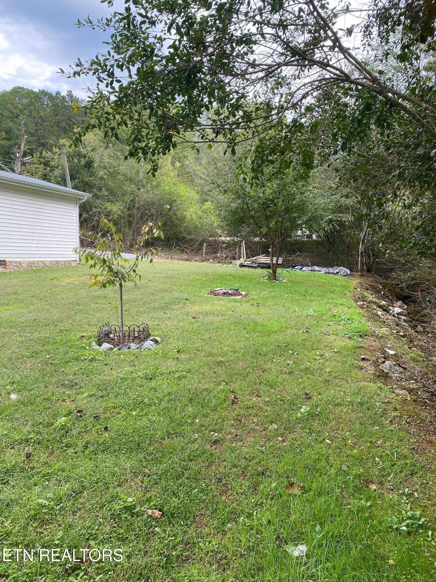 Cosby, TN 37722,117 Greasy Cove Rd