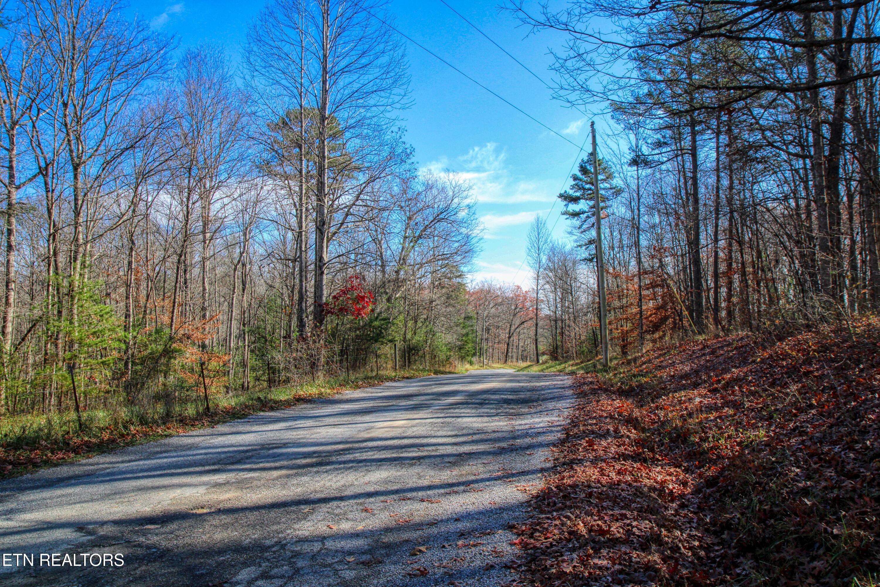 Jamestown, TN 38556,Lot #2 Darrow Ridge Rd