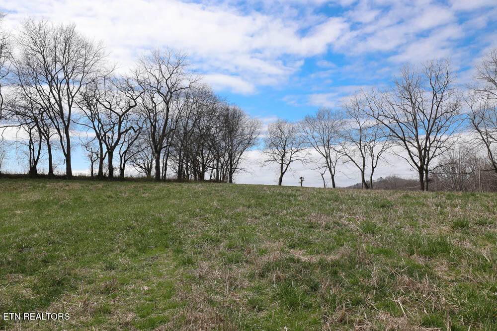 Maryville, TN 37804,Lot 1 Nails Creek Rd