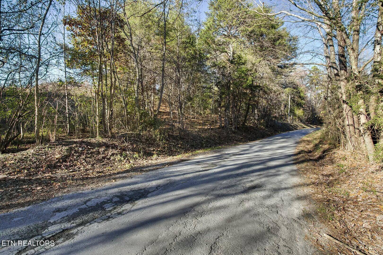 Decatur, TN 37322,Lot 6-7 Morrison Rd