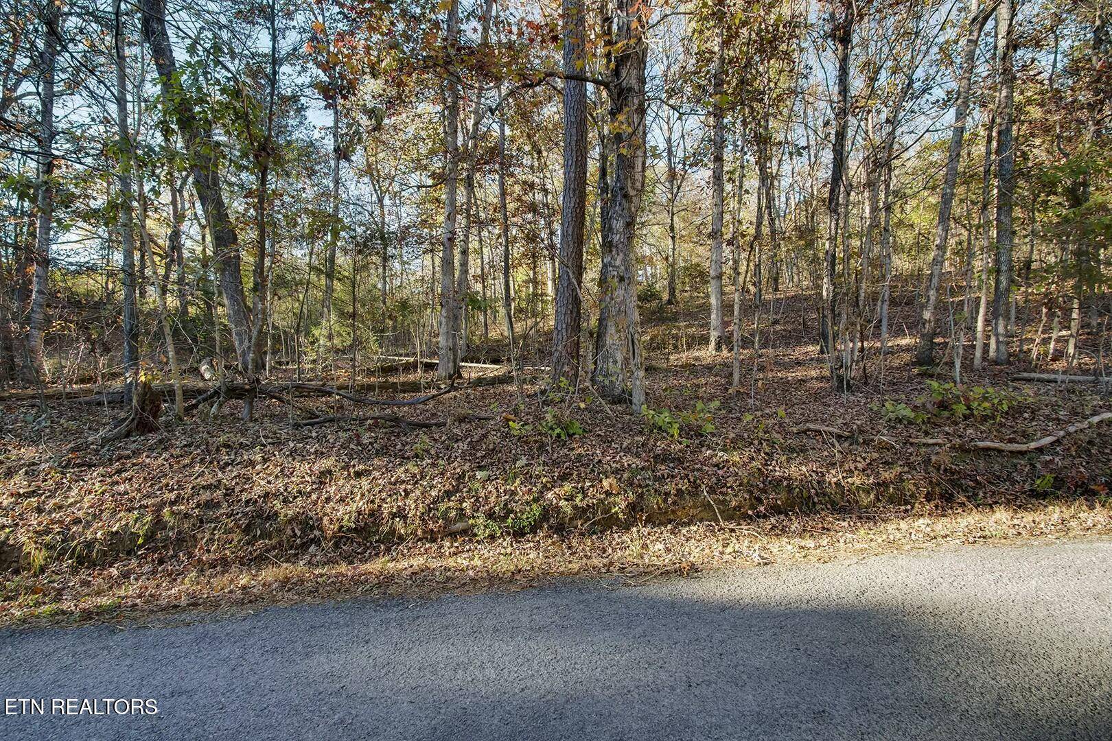 Decatur, TN 37322,Lot 6-7 Morrison Rd