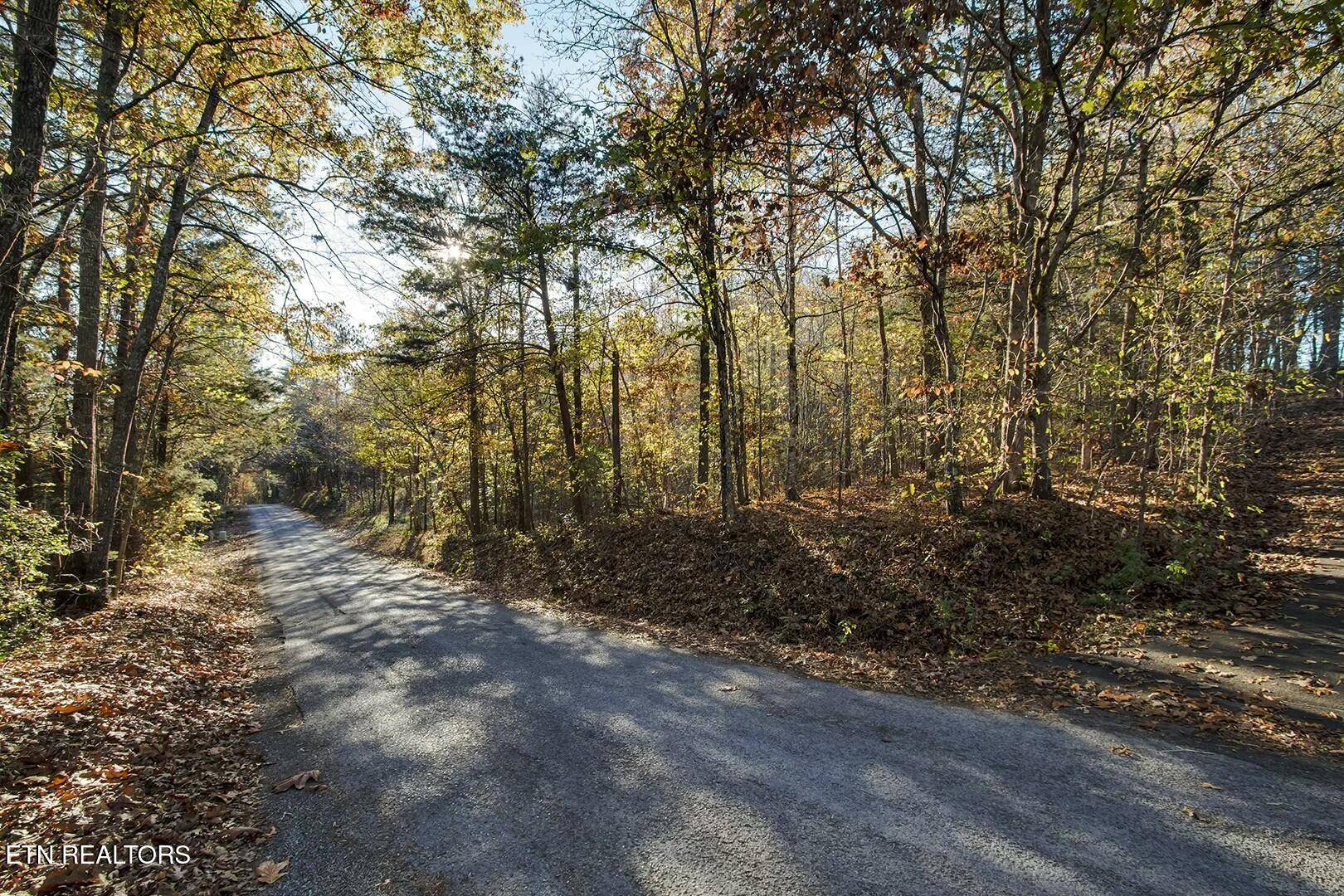 Decatur, TN 37322,Lots 6-7 Morrison Road